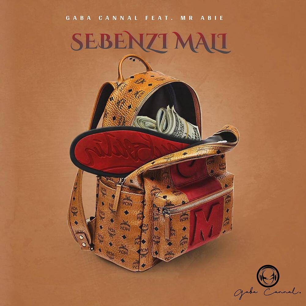Постер альбома Sebenzi Mali