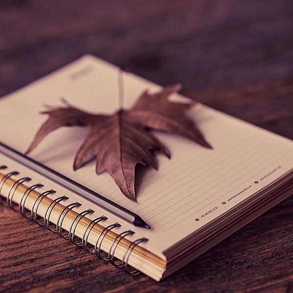 Постер альбома Autumn's Diary (feat. Taiyo Ky)