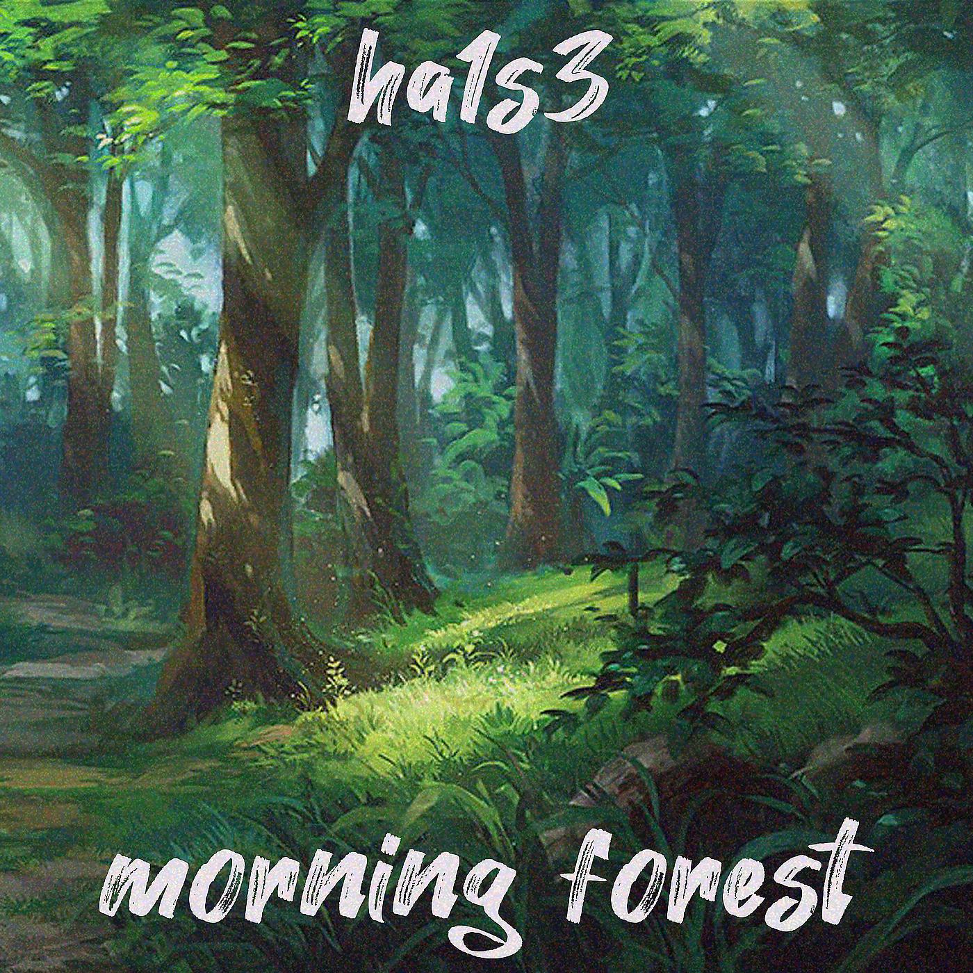 Постер альбома Morning Forest
