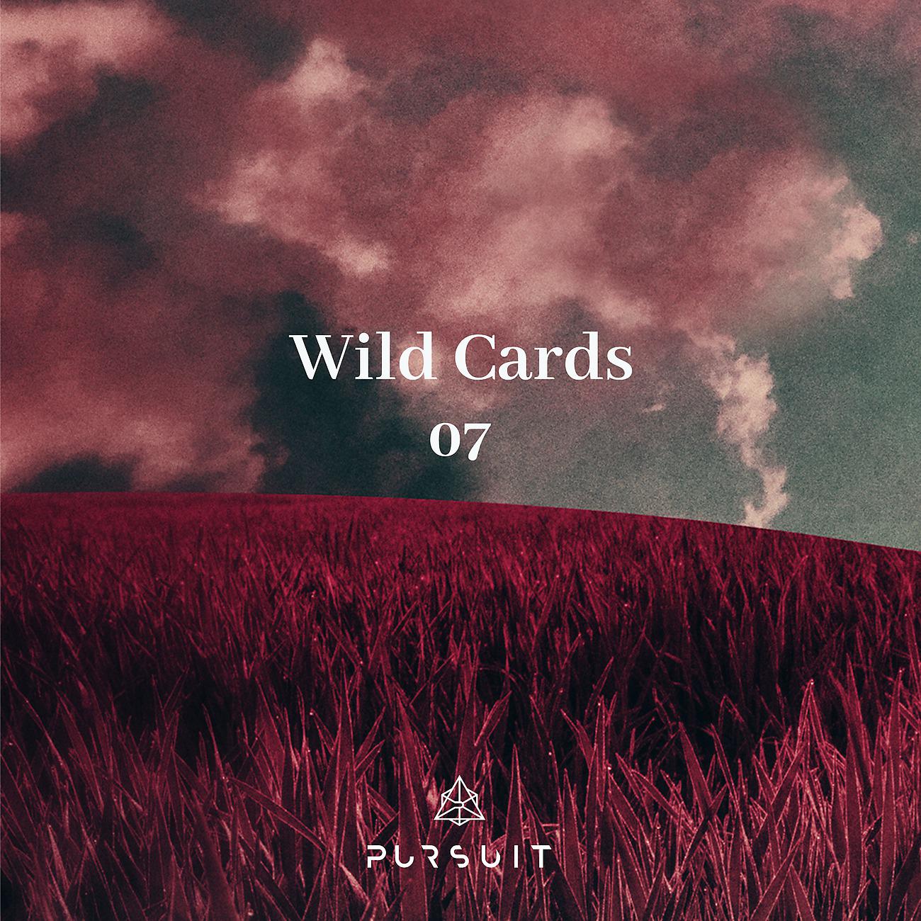 Постер альбома Wild Cards 07