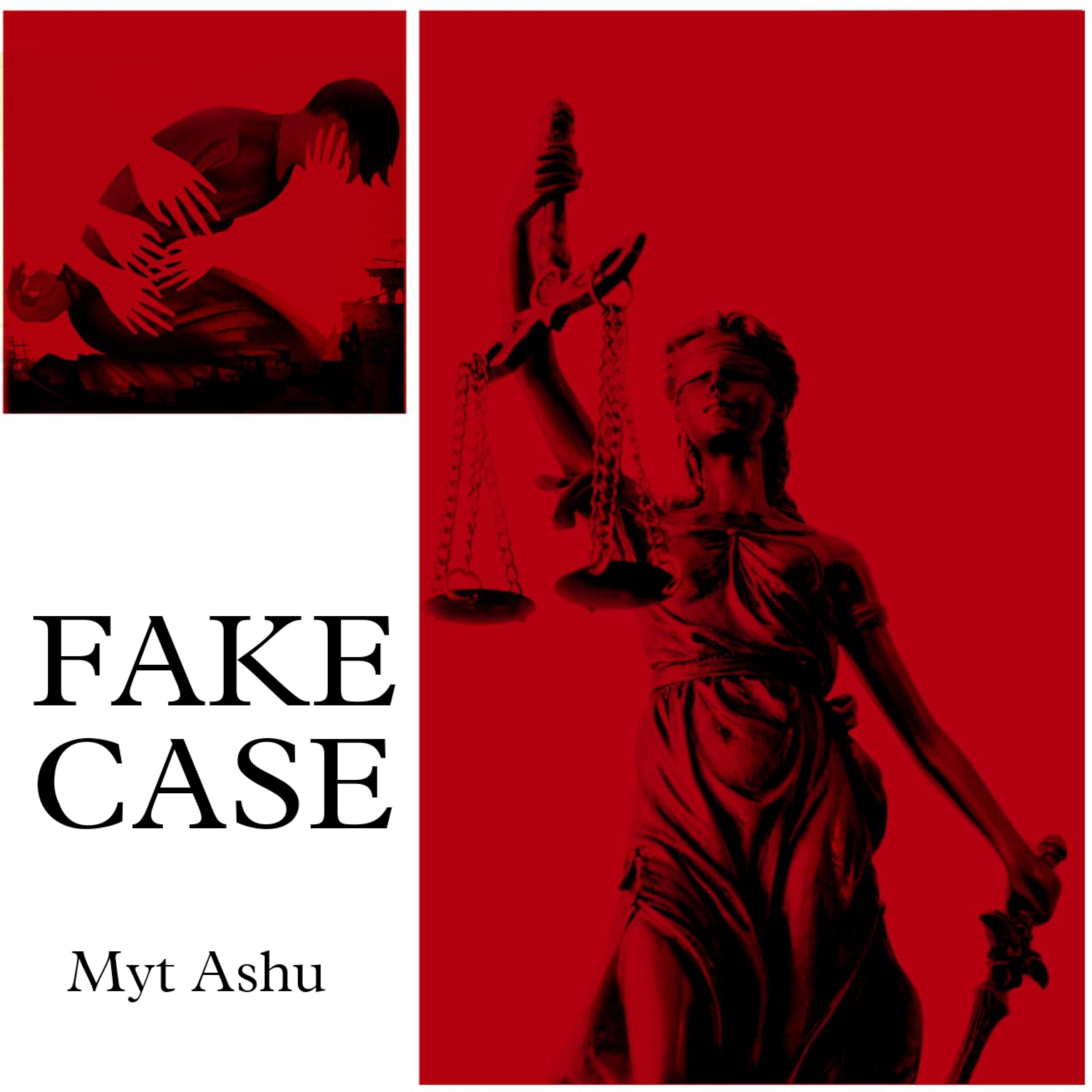 Постер альбома Fake Case