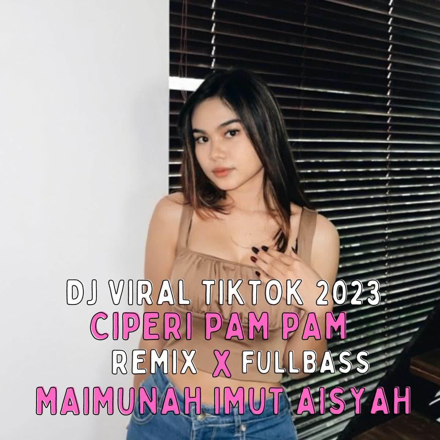 Постер альбома DJ CIPERI PAM PAM X MAIMUNAH IMUT AISYAH - INST