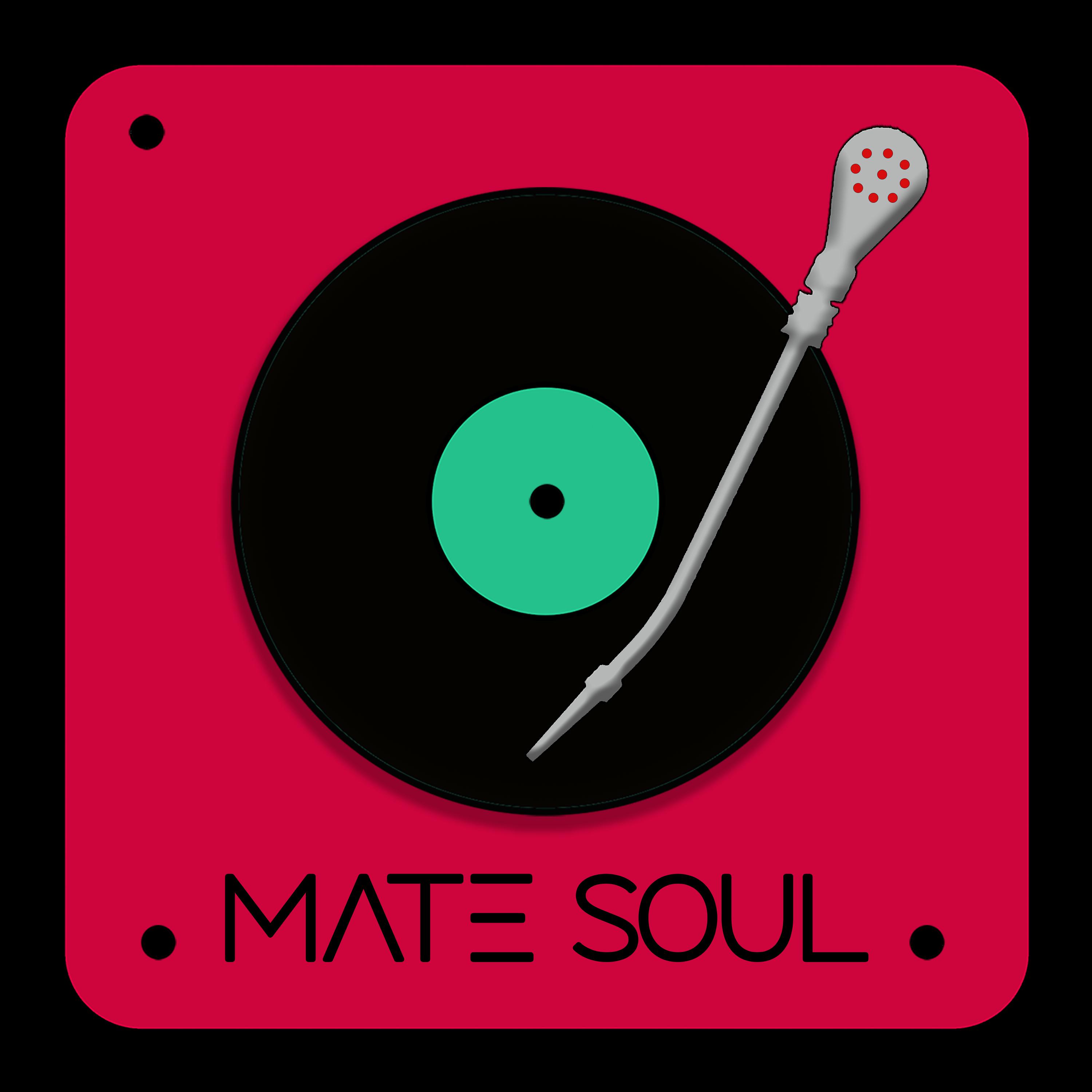 Постер альбома Mate Soul