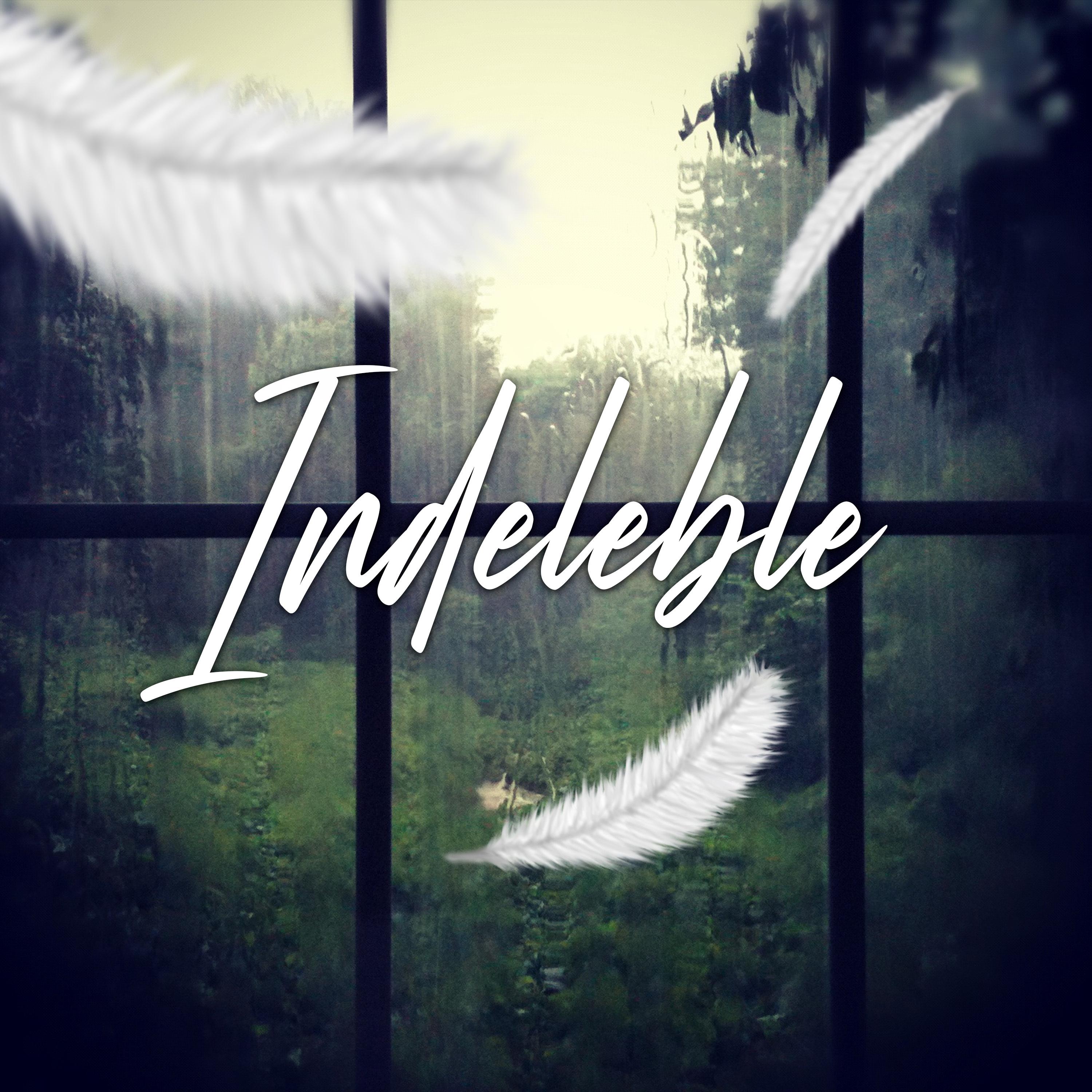 Постер альбома Indeleble