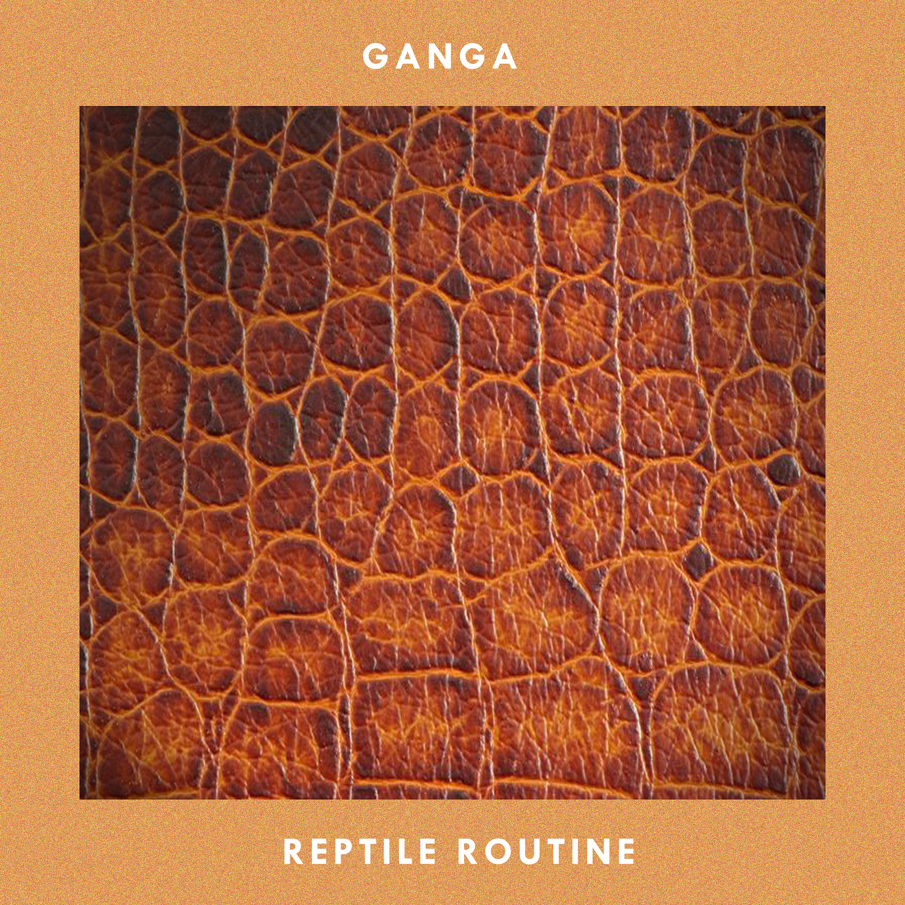 Постер альбома Reptile Routine