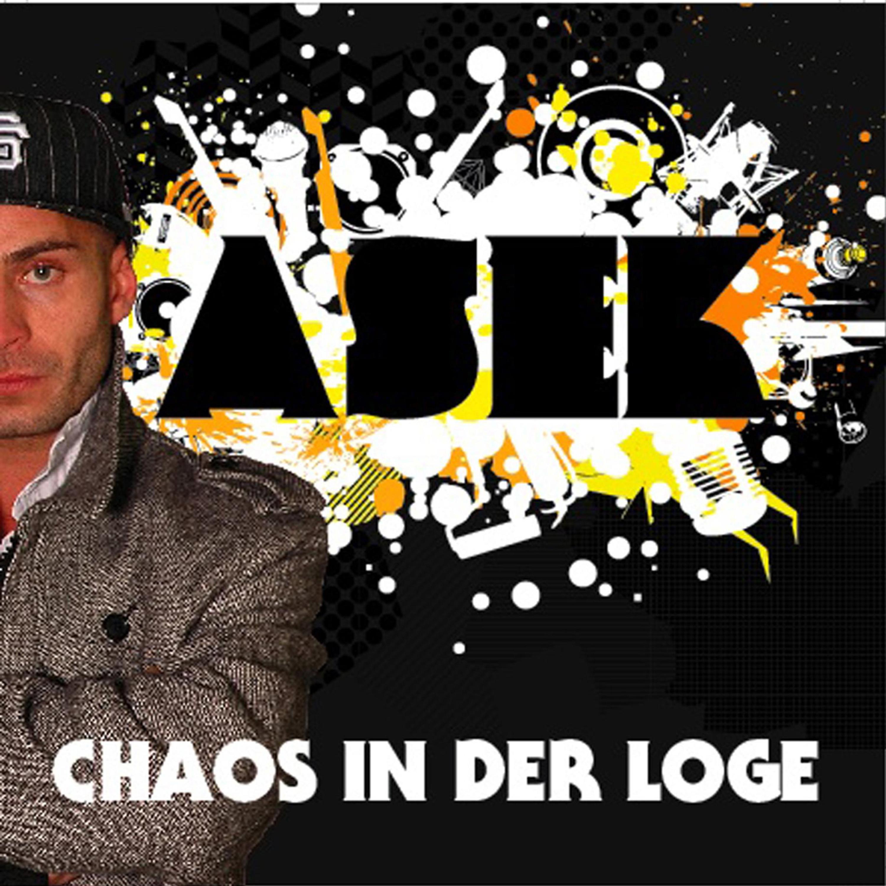 Постер альбома Chaos in der Loge