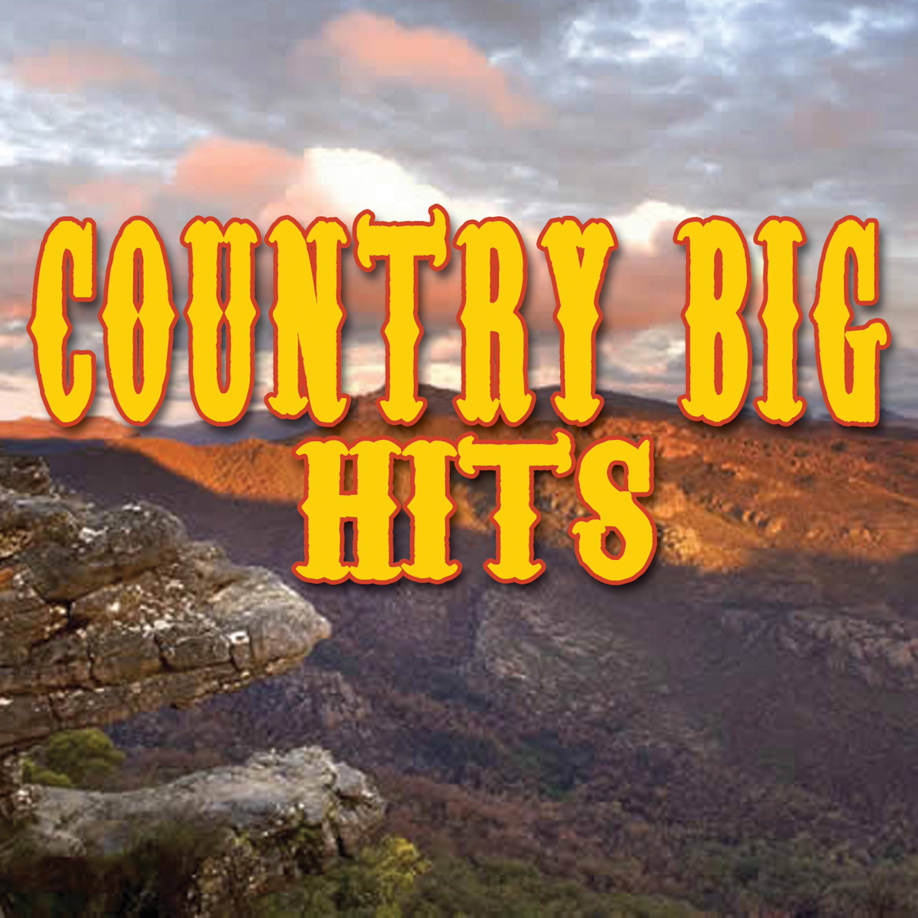 Постер альбома Country Big Hits