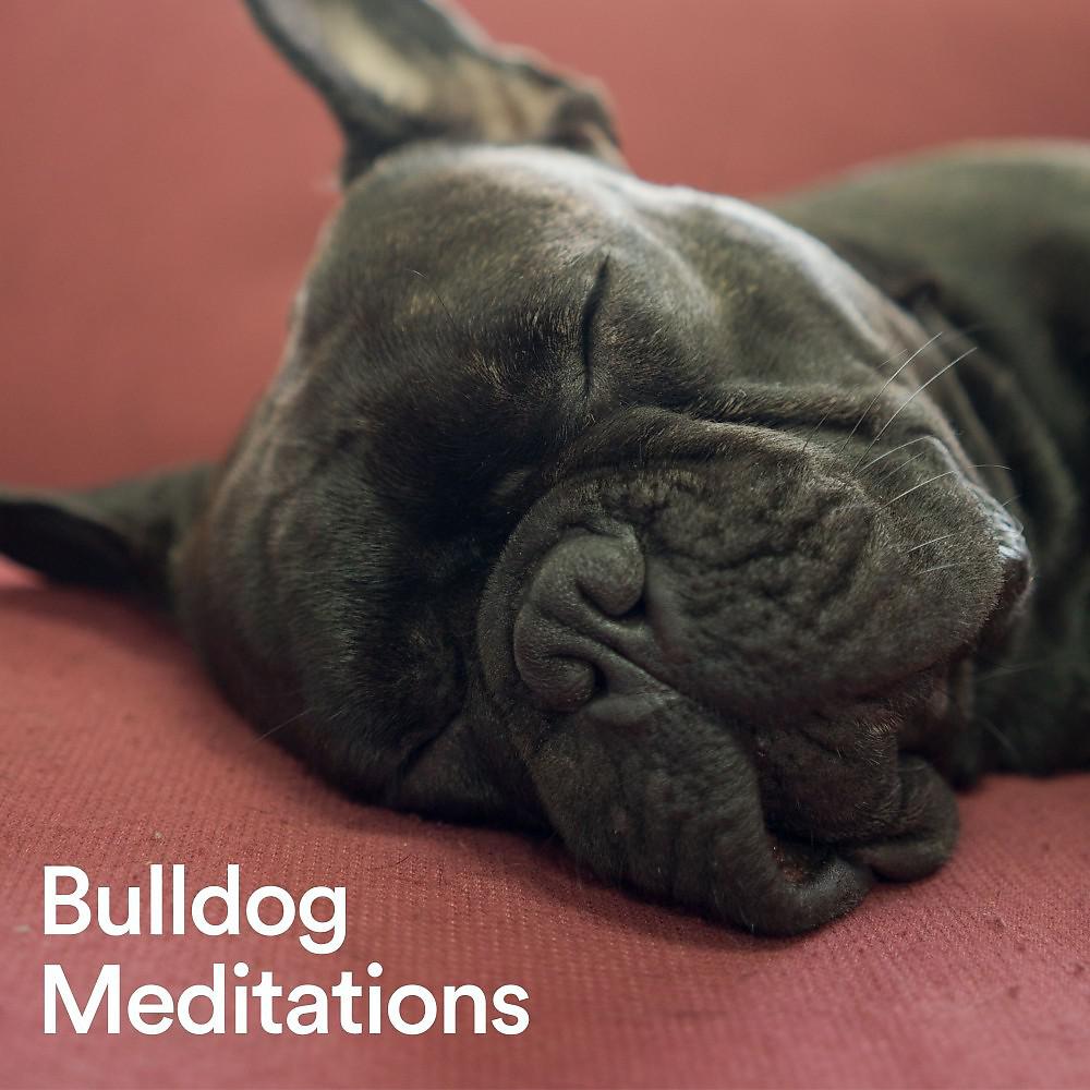 Постер альбома Bulldog Meditations