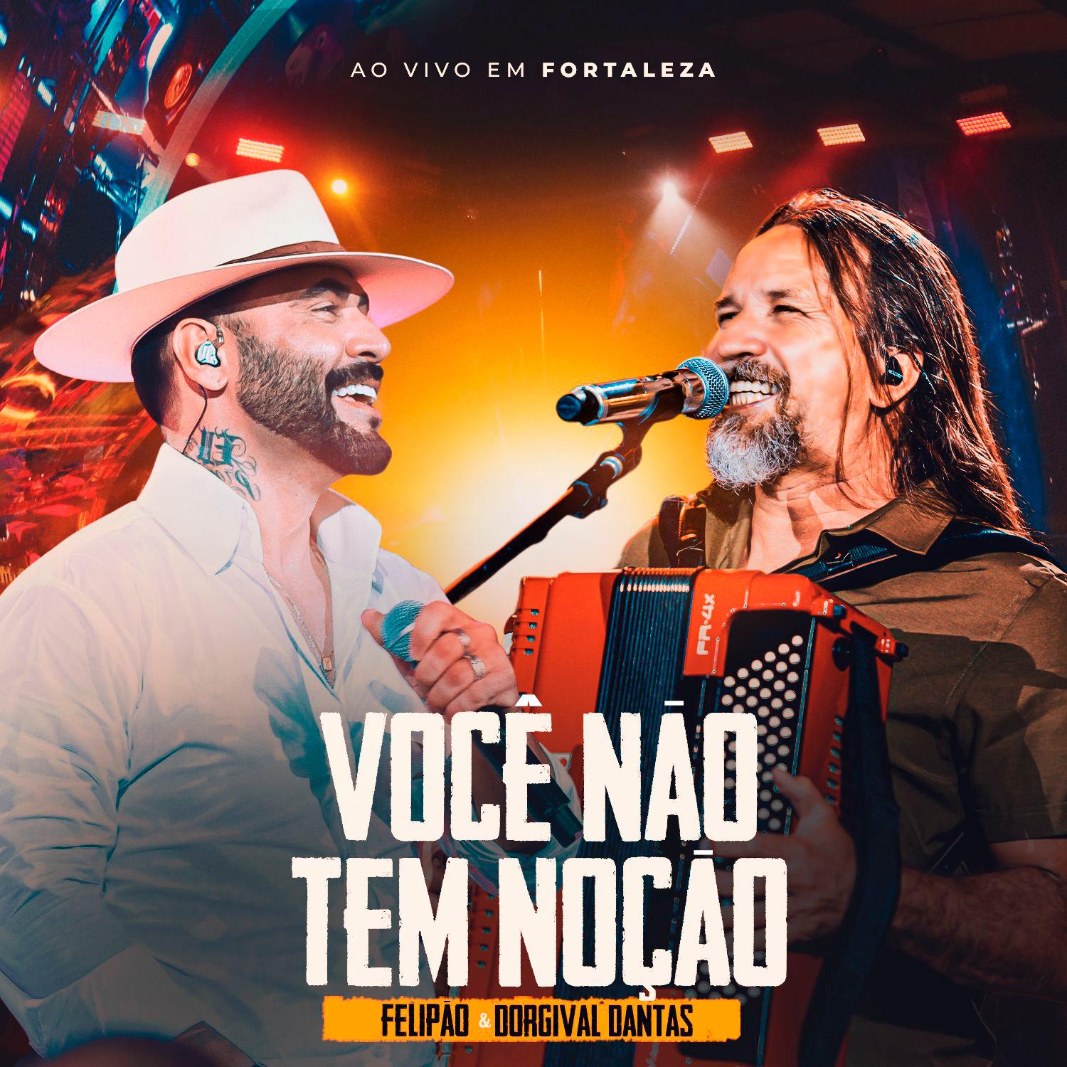 Постер альбома Você Não Tem Noção