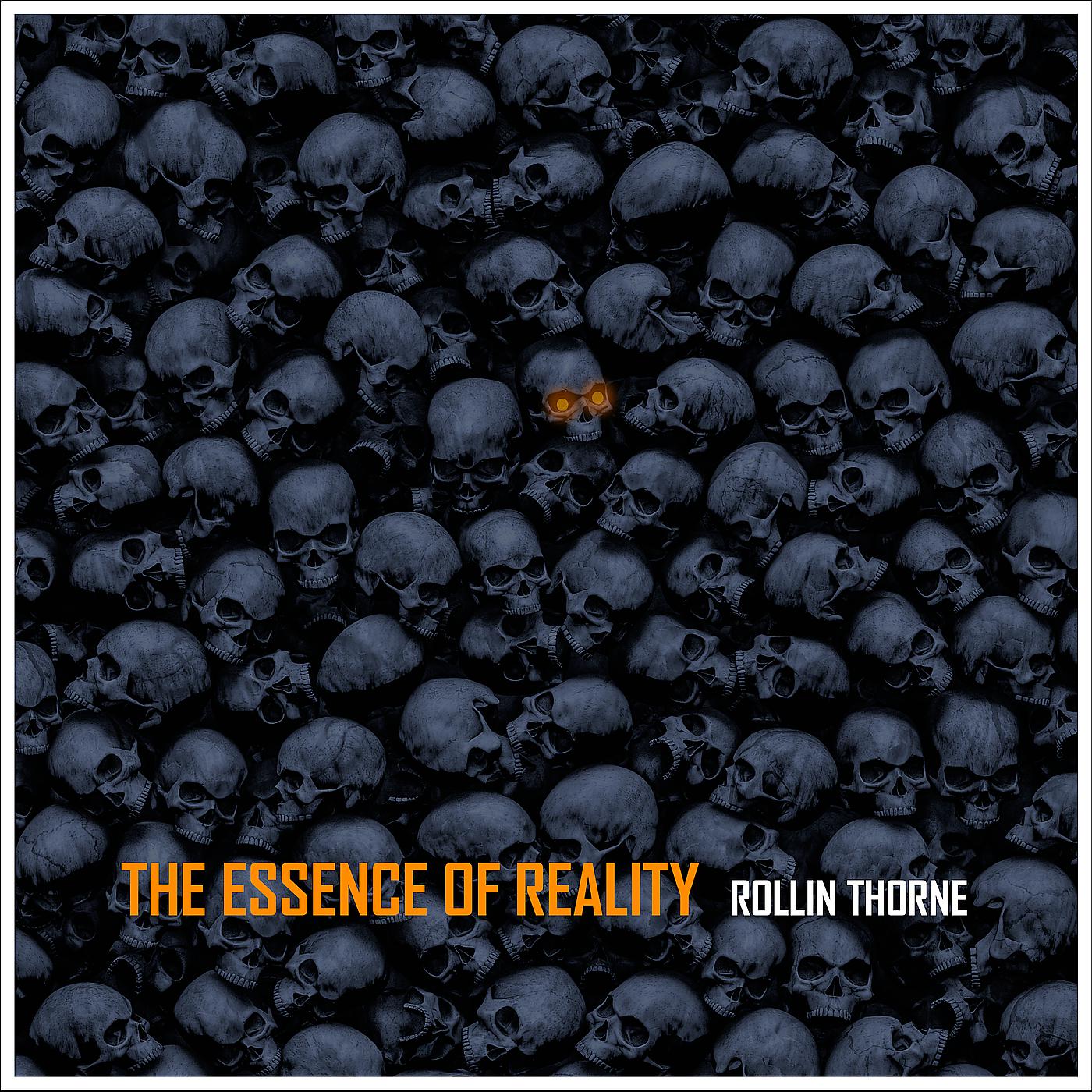 Постер альбома The Essence of Reality