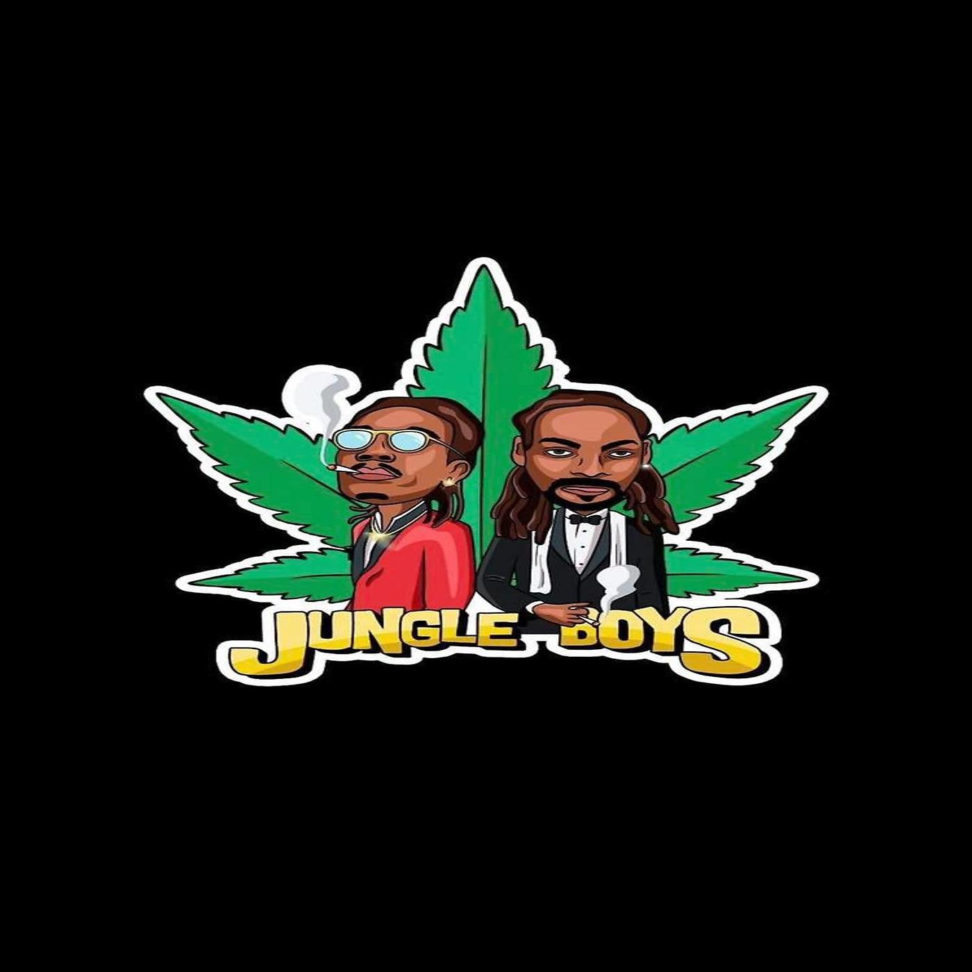 Постер альбома Jungleboys 2019