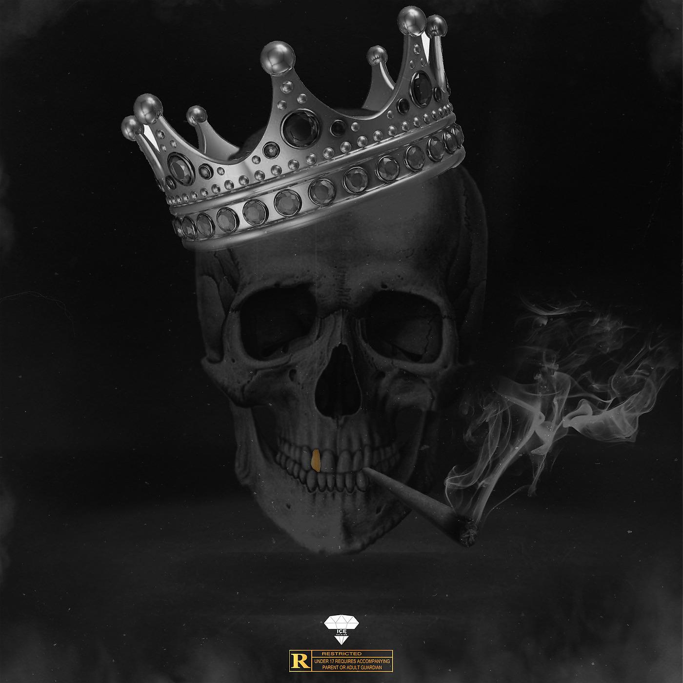 Постер альбома Trop Smoke
