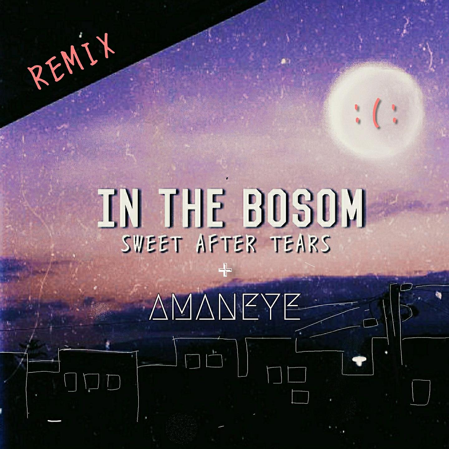 Постер альбома In the Bosom (Amaneye Remix)