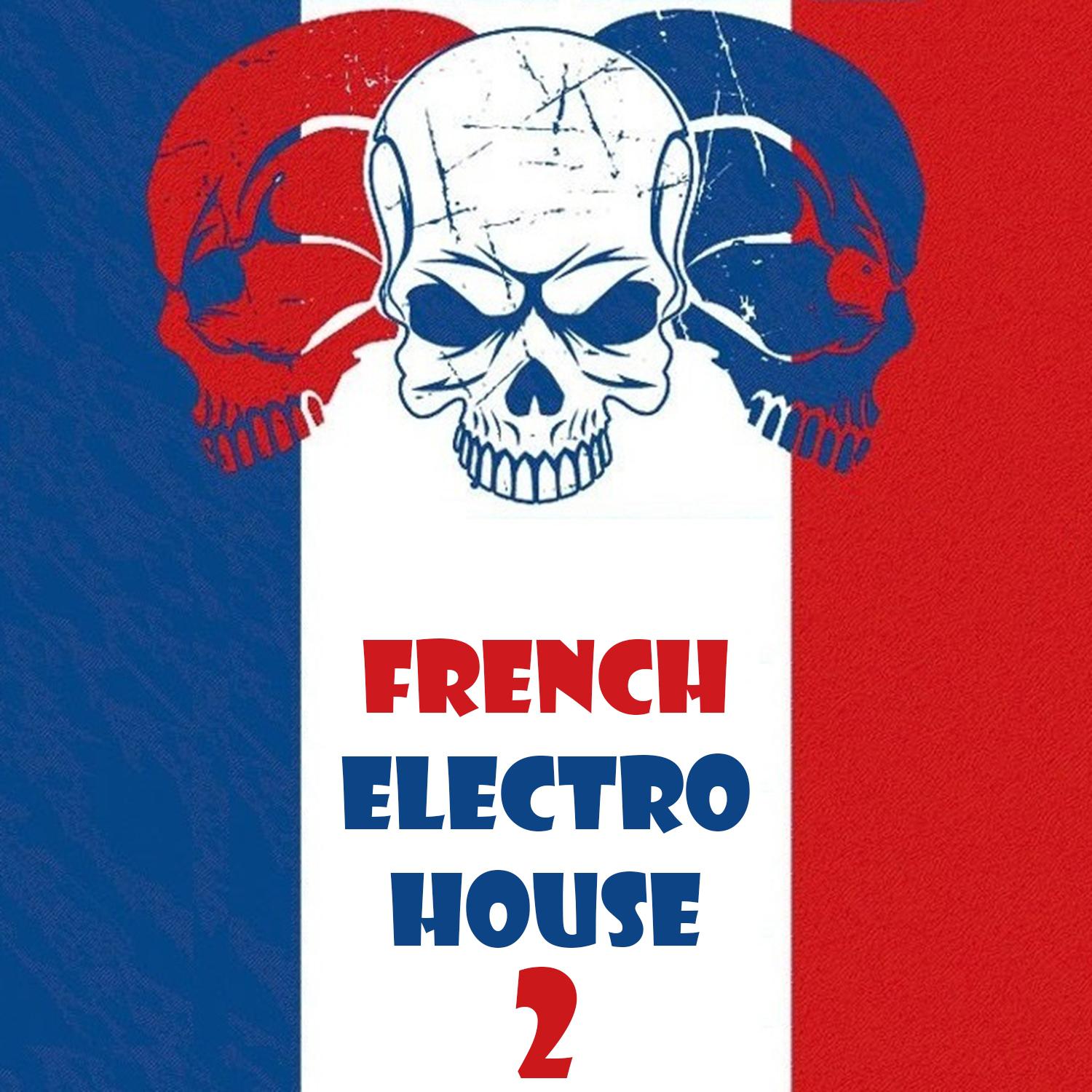 Постер альбома French Electro House, Vol. 2