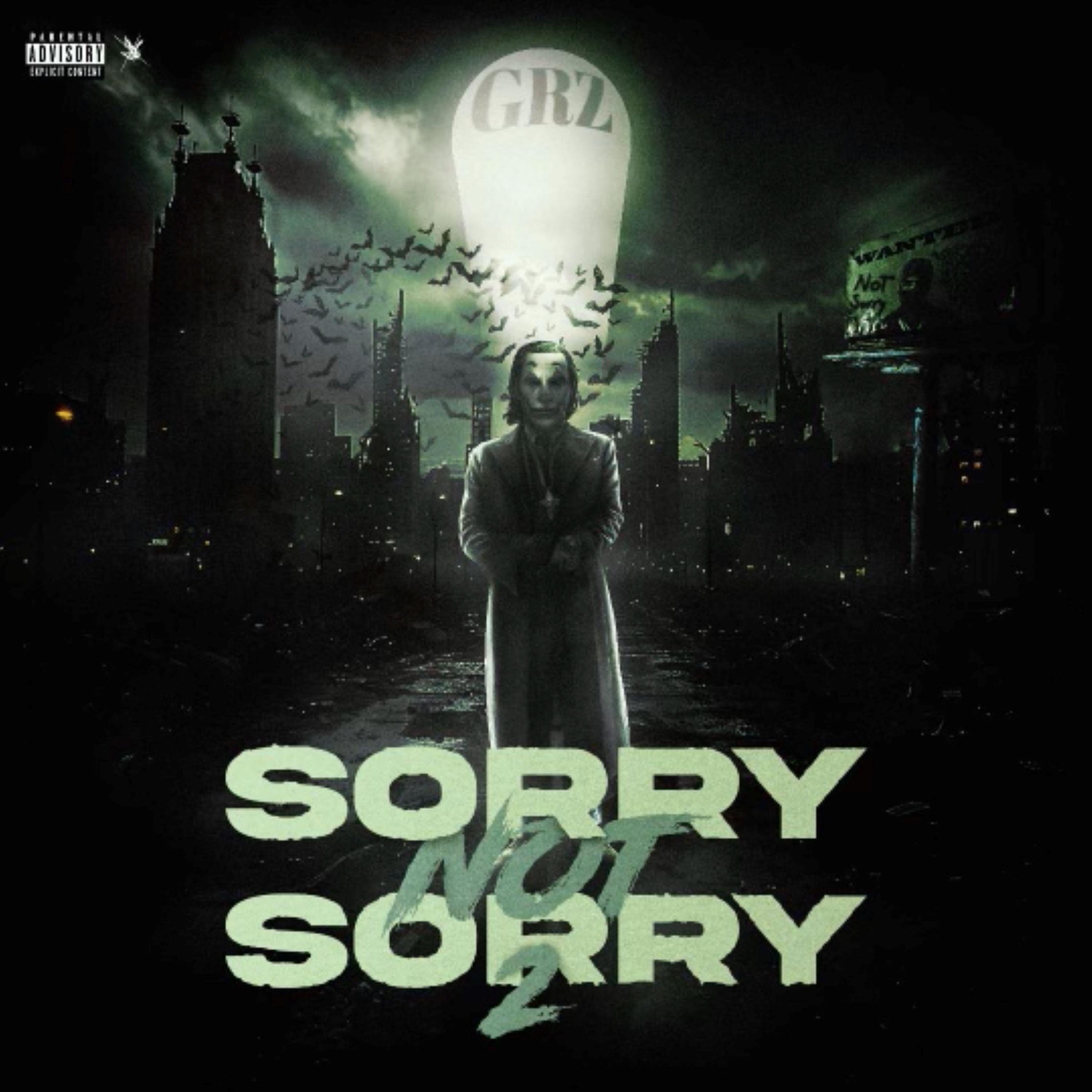 Постер альбома Sorry Not Sorry 2