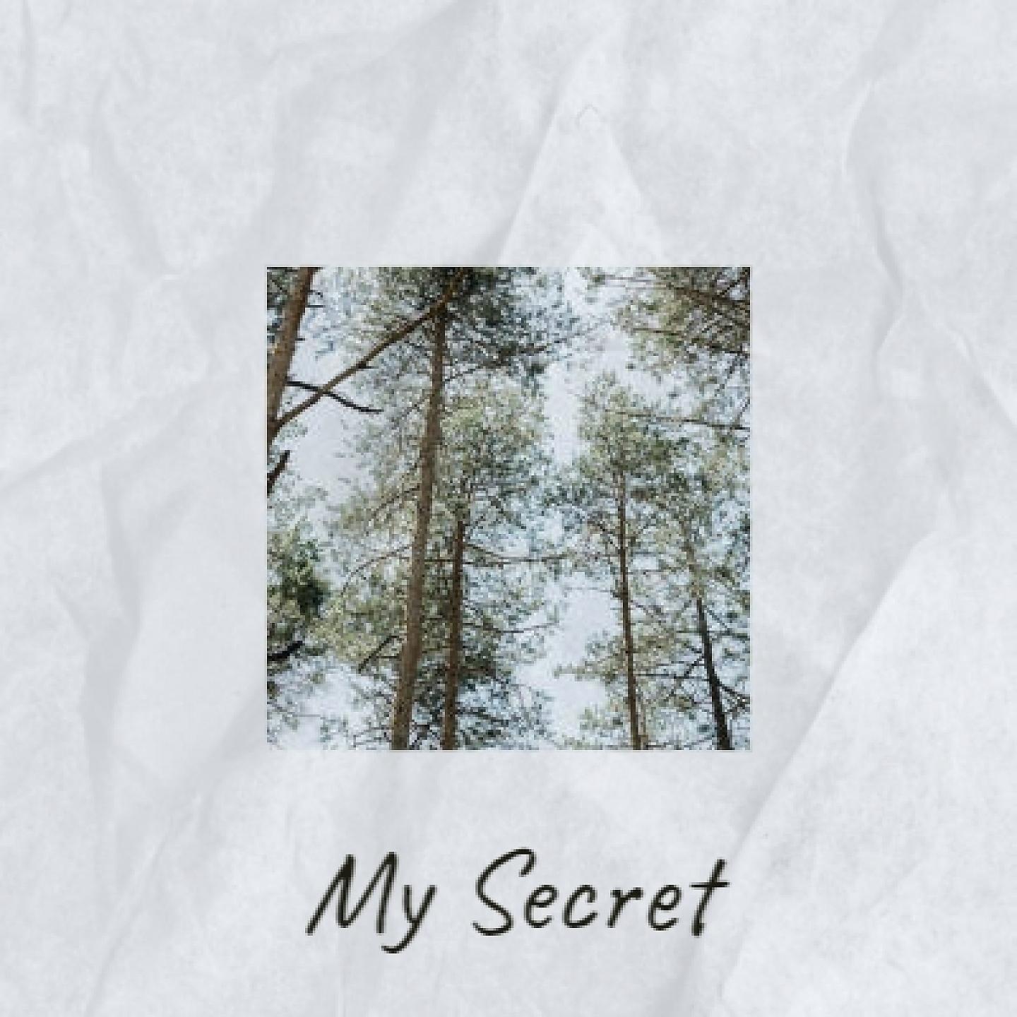 Постер альбома My Secret