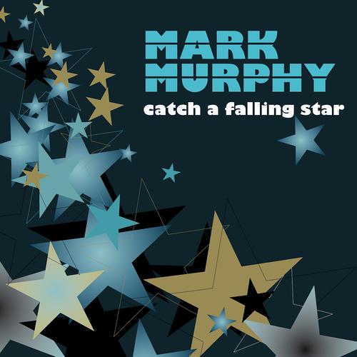 Постер альбома Catch a Falling Star