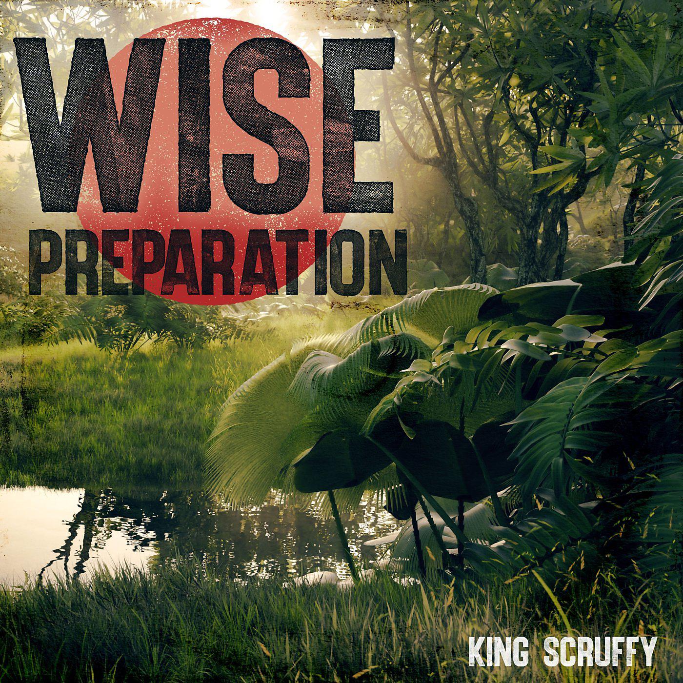 Постер альбома Wise Preparation