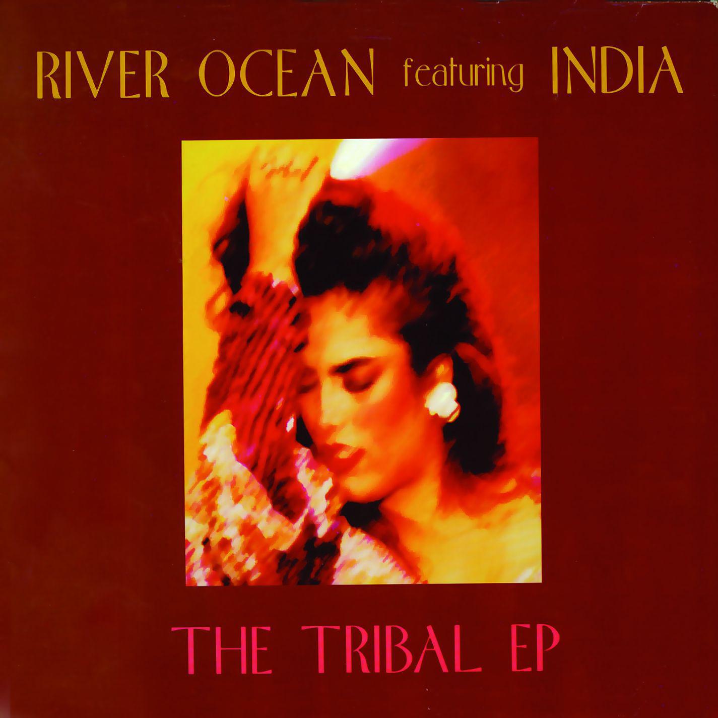 Постер альбома The Tribal - EP (Remixes)