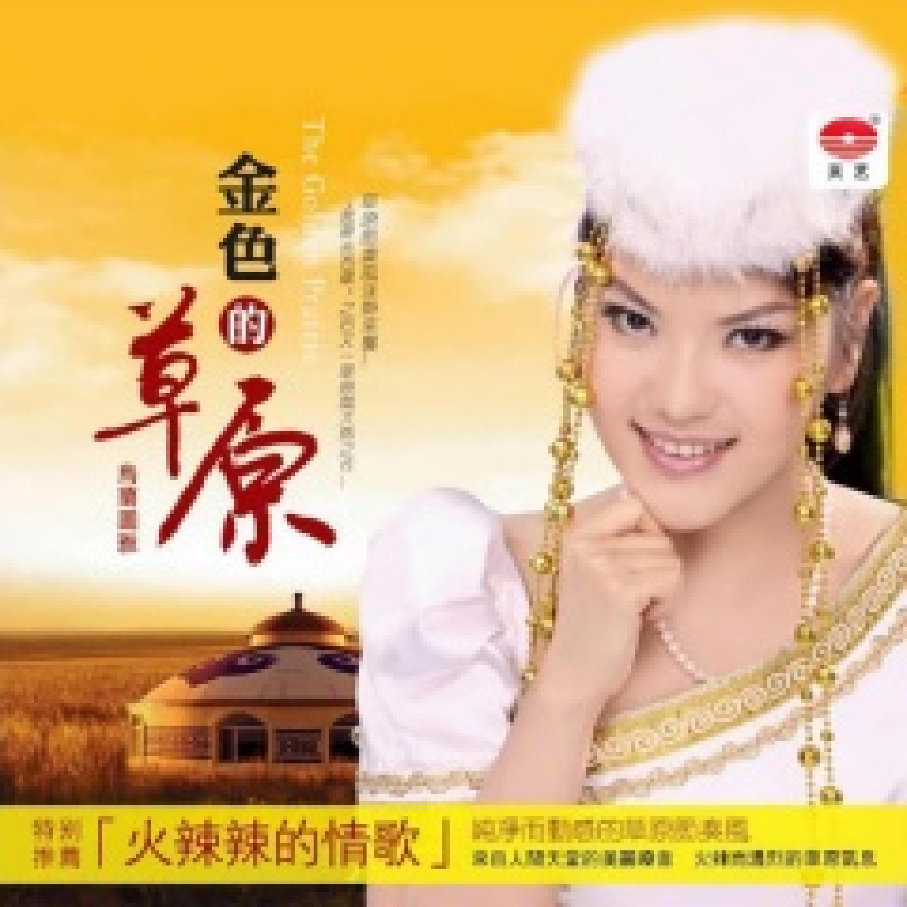 Постер альбома 雅鲁藏布江
