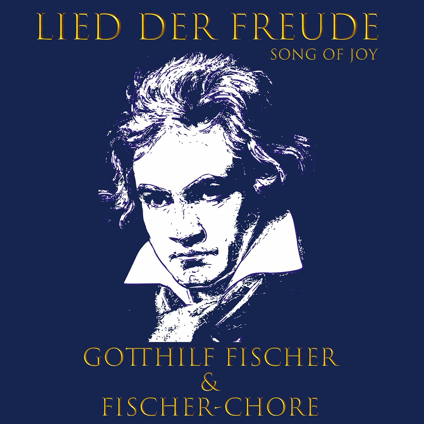Постер альбома Lied der Freude