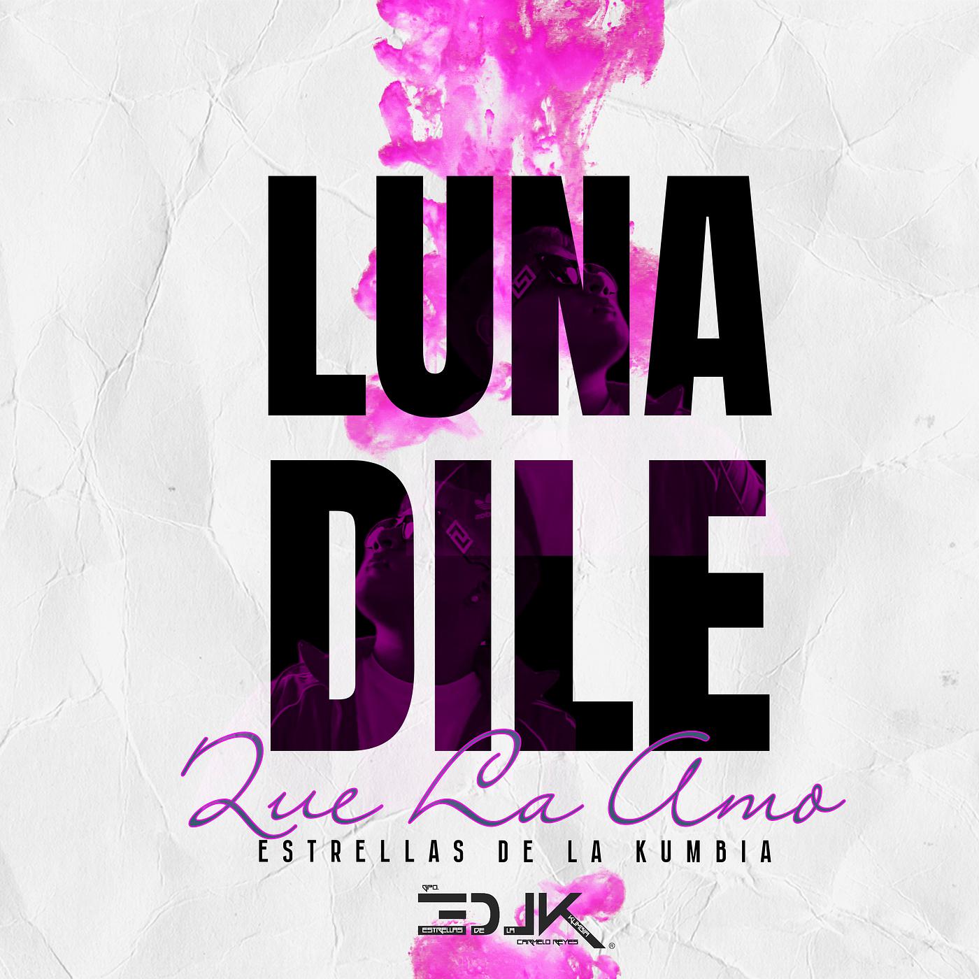 Постер альбома Luna Dile Que La Amo