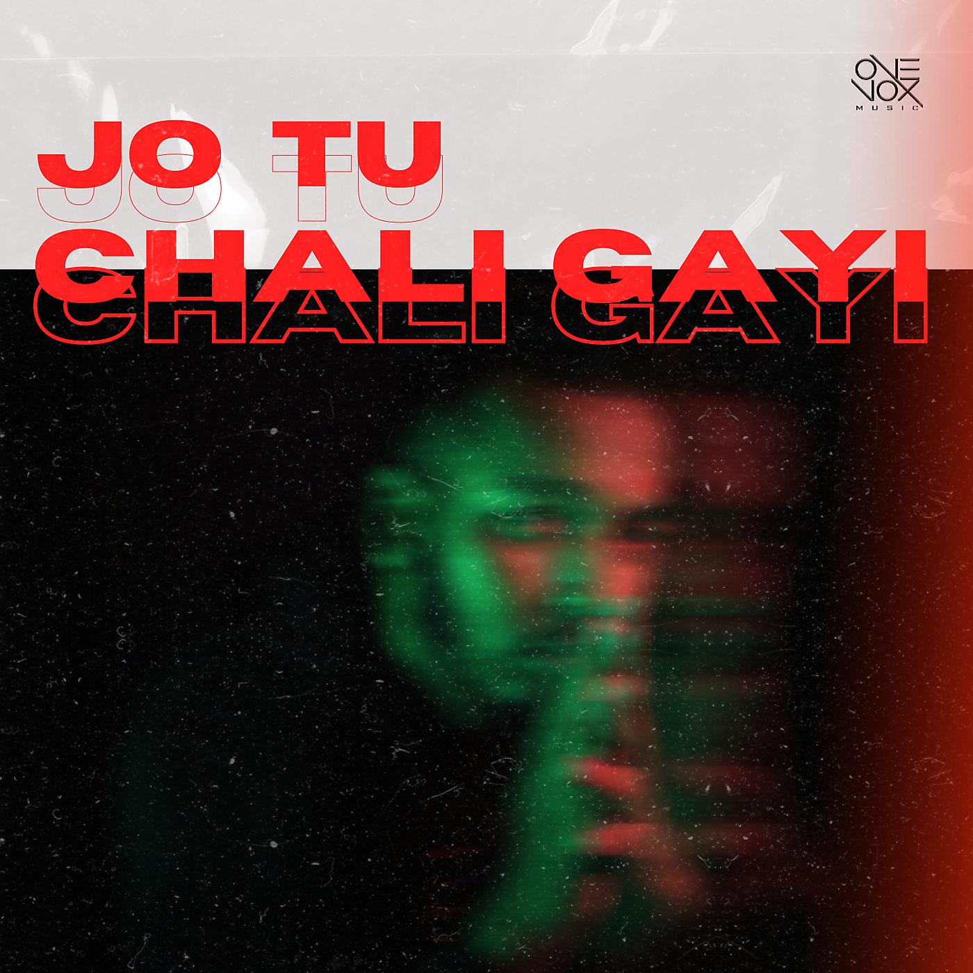 Постер альбома Jo Tu Chali Gayi