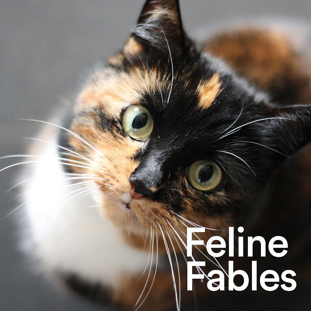 Постер альбома Feline Fables