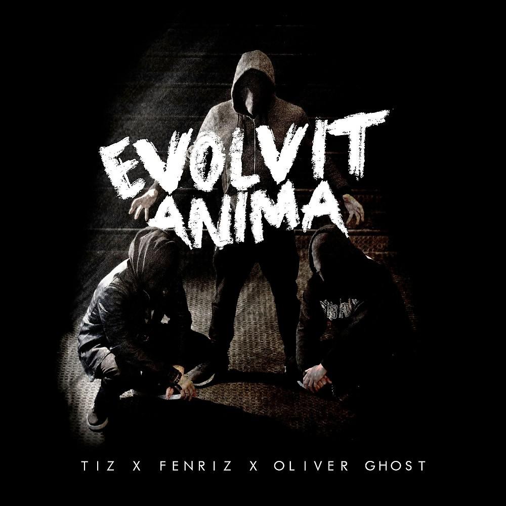 Постер альбома Evolvit Anima