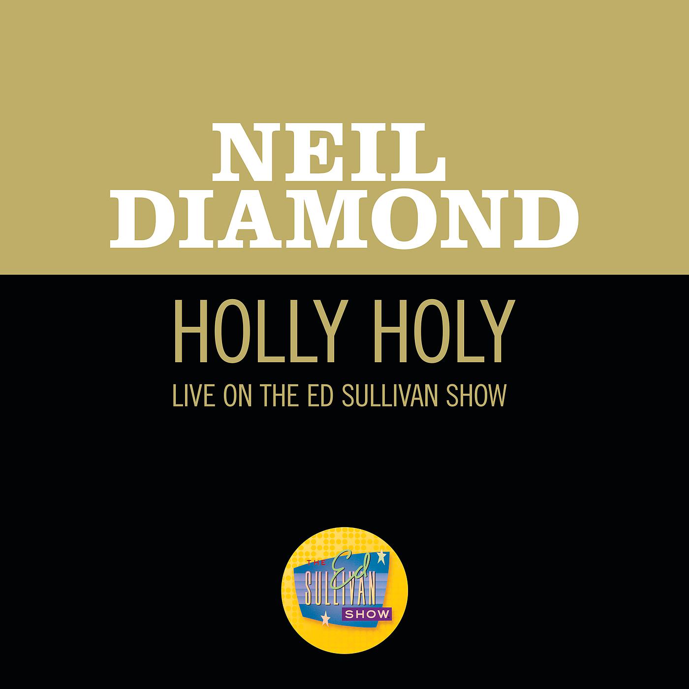 Постер альбома Holly Holy
