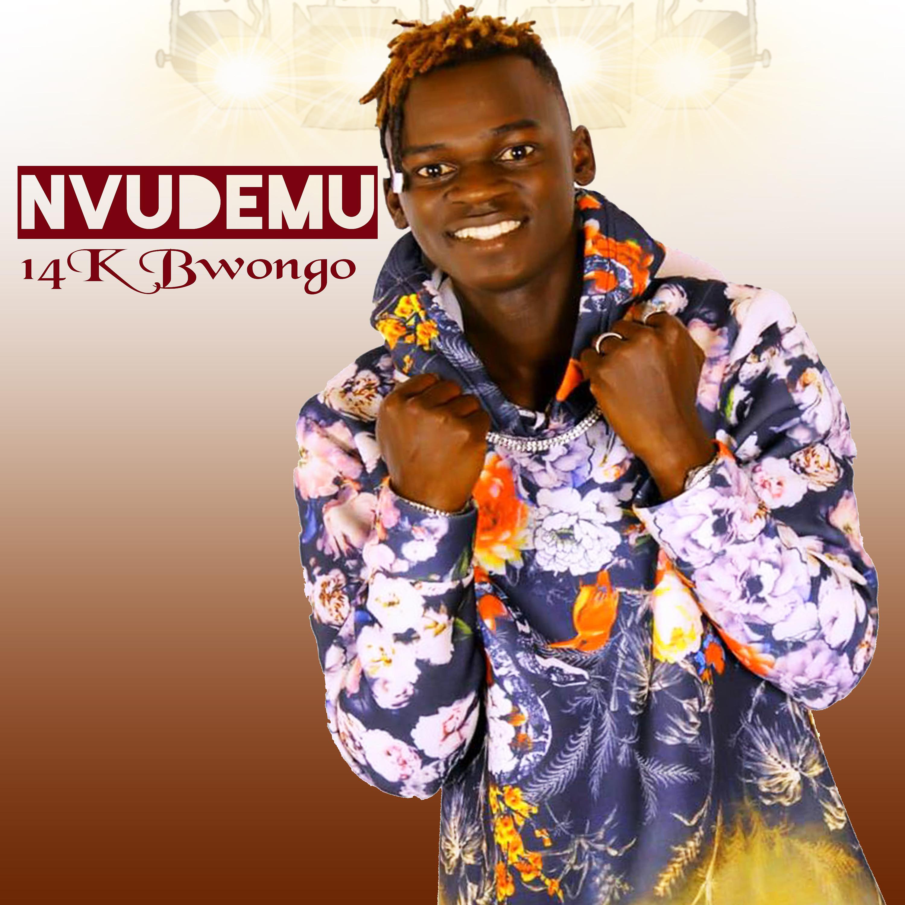 Постер альбома Nvudemu