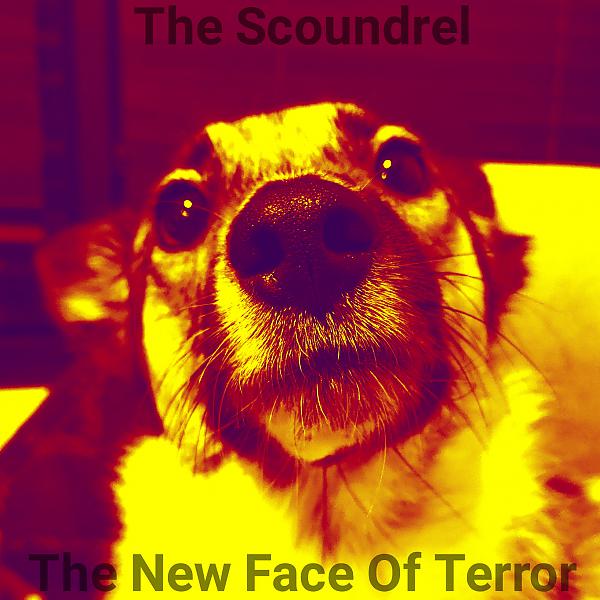 Постер альбома The New Face Of Terror