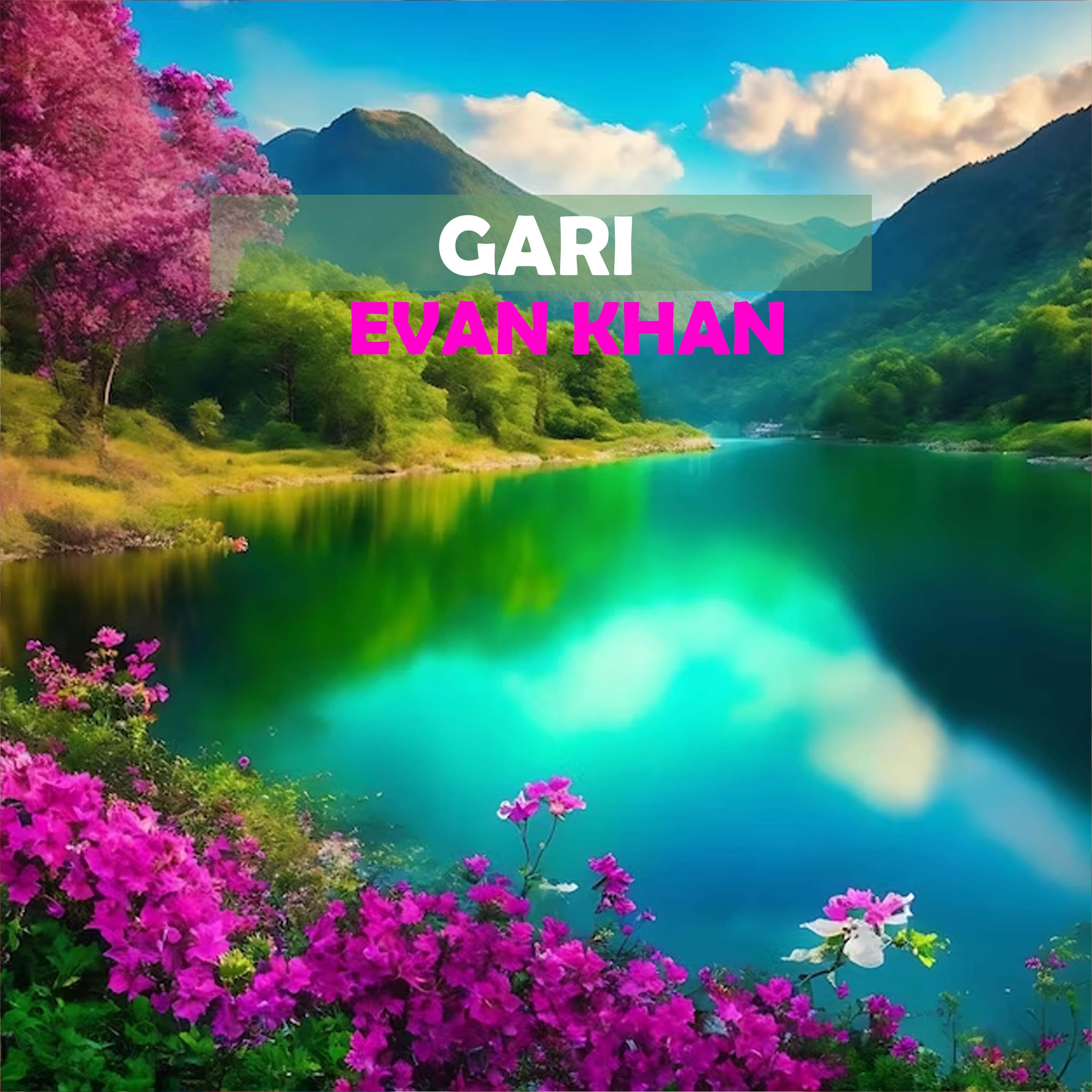 Постер альбома Gari