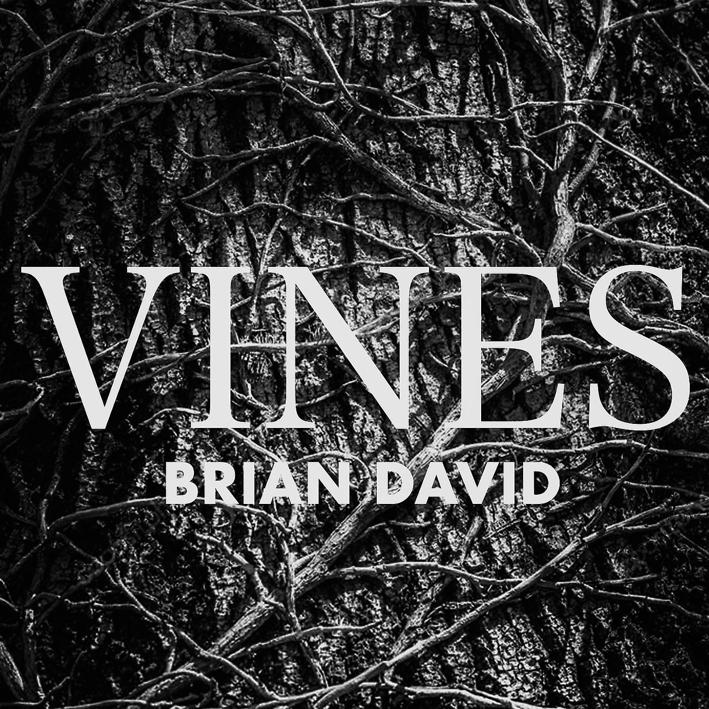 Постер альбома Vines