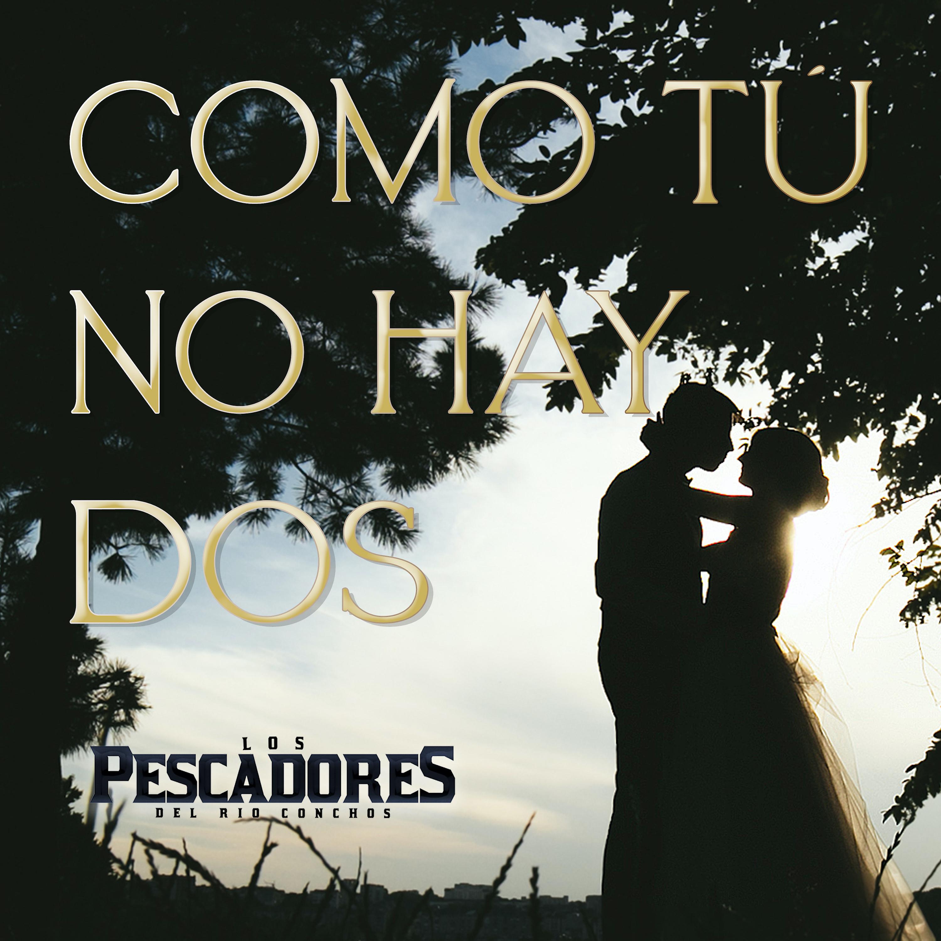Постер альбома Como Tú No Hay Dos
