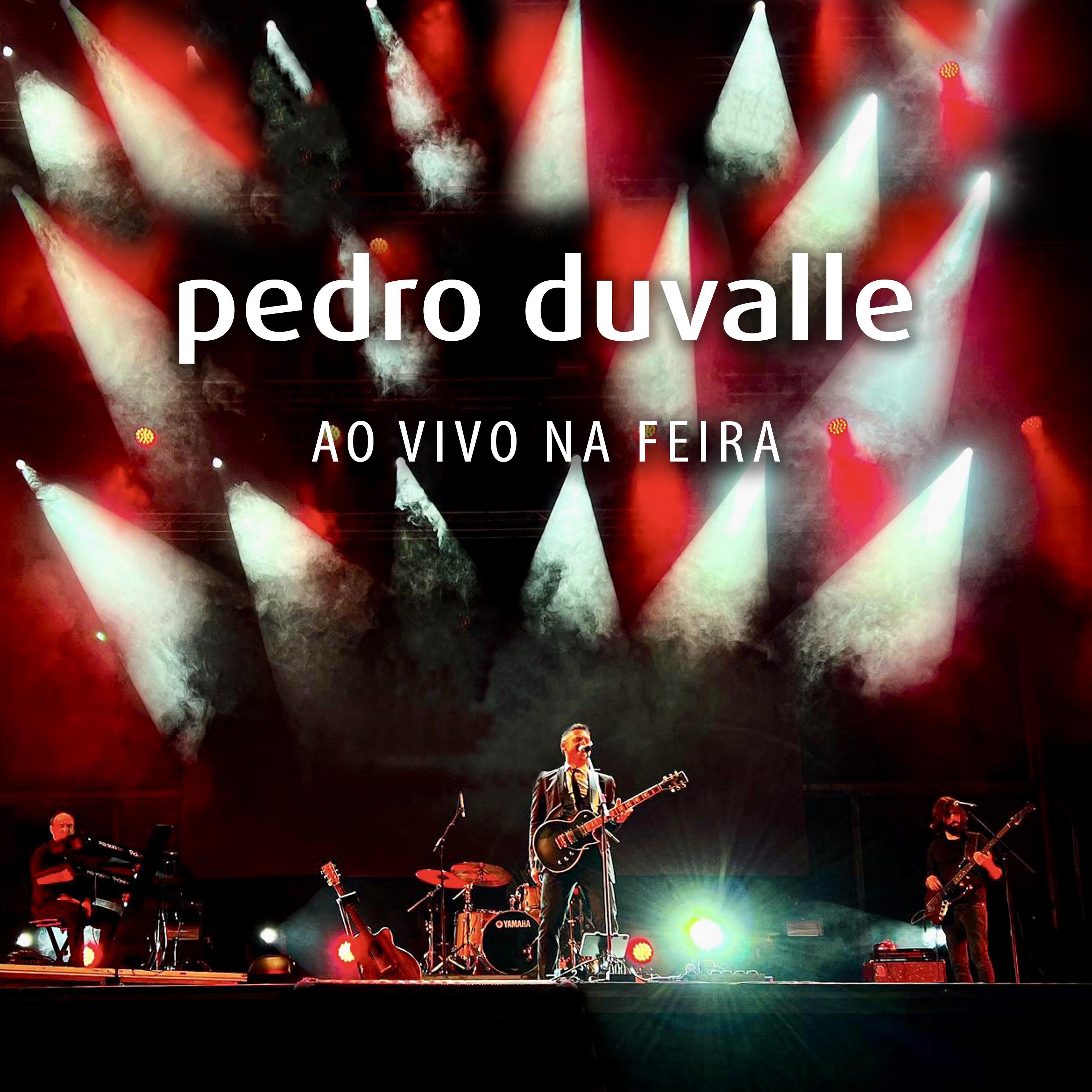 Постер альбома Ao Vivo Na Feira