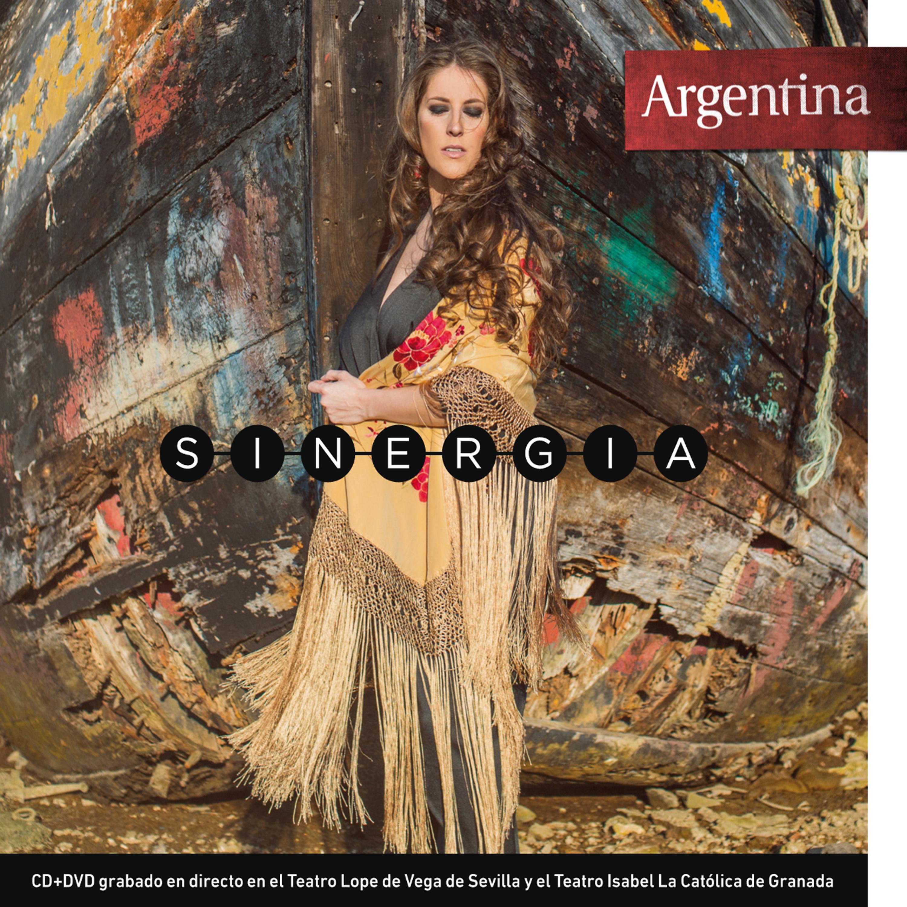 Постер альбома Sinergia