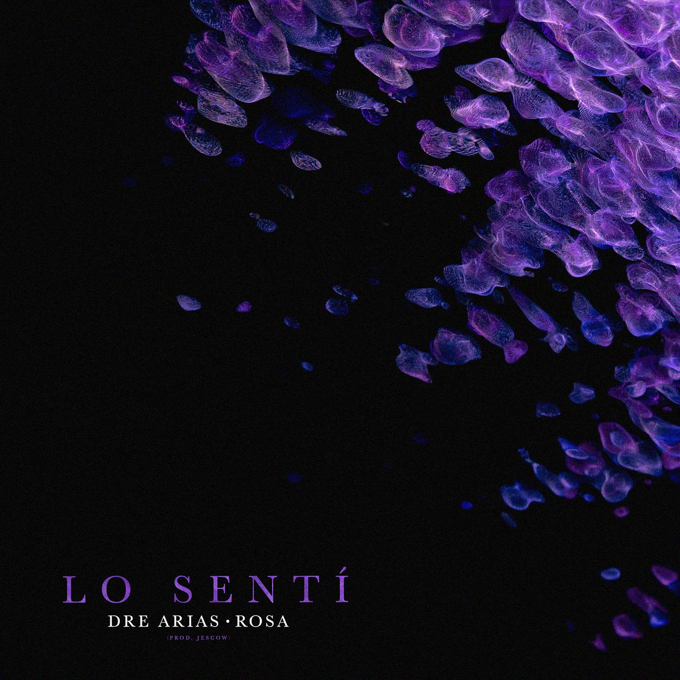 Постер альбома Lo Senti