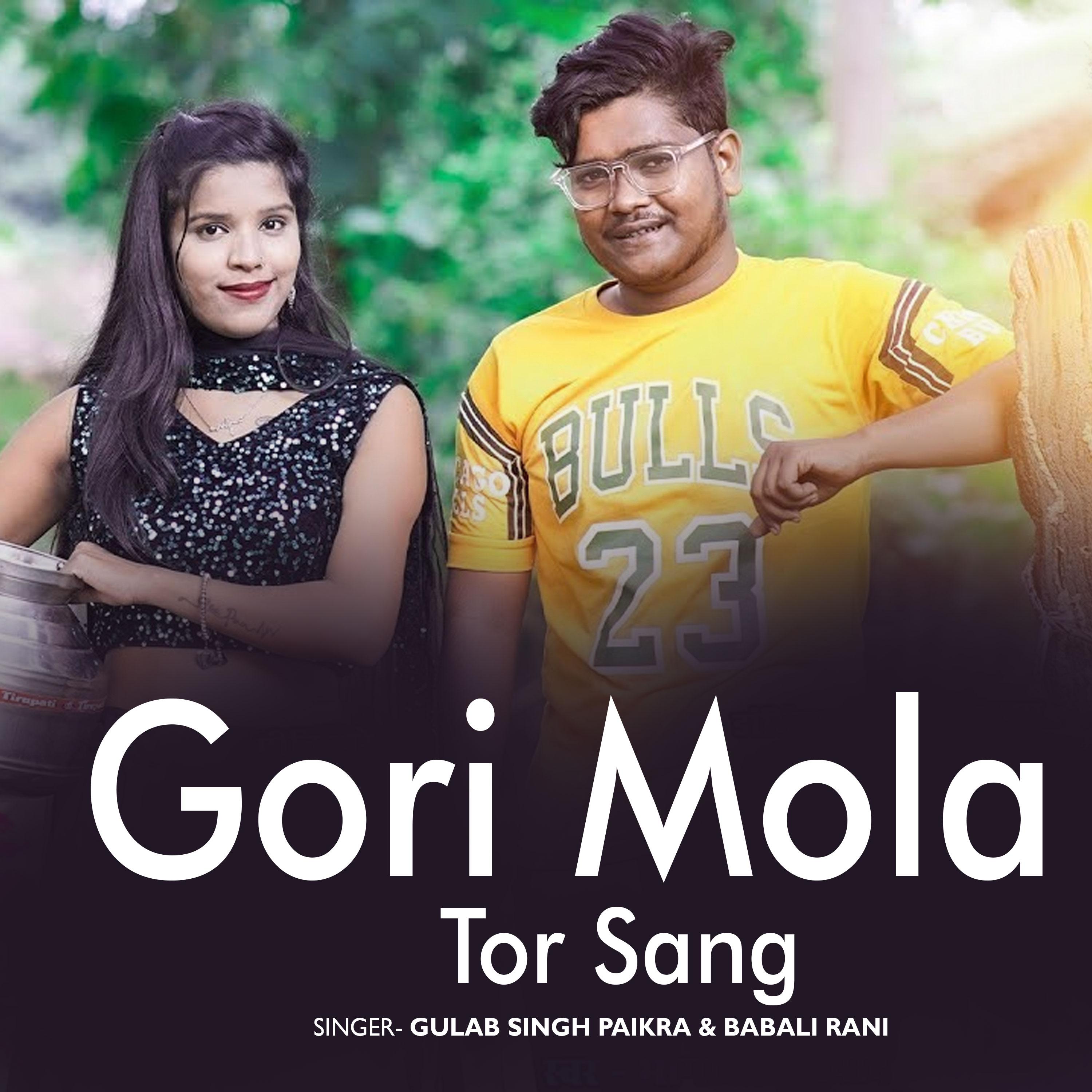 Постер альбома Gori Mola Tor Sang
