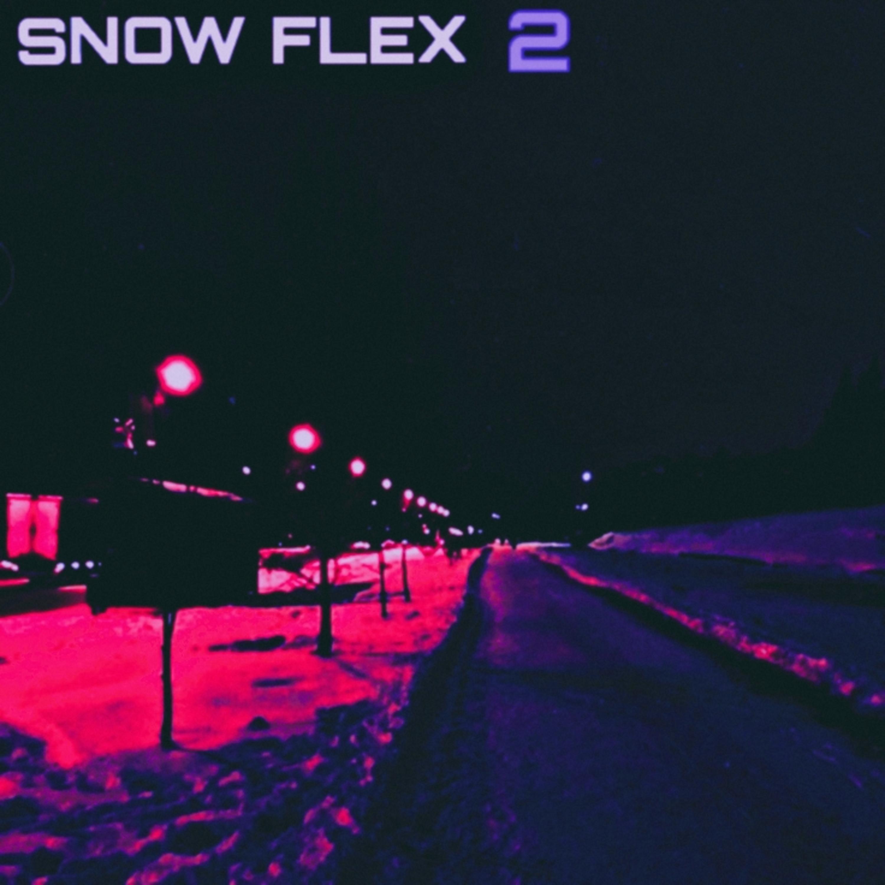 Постер альбома SNOW FLEX 2