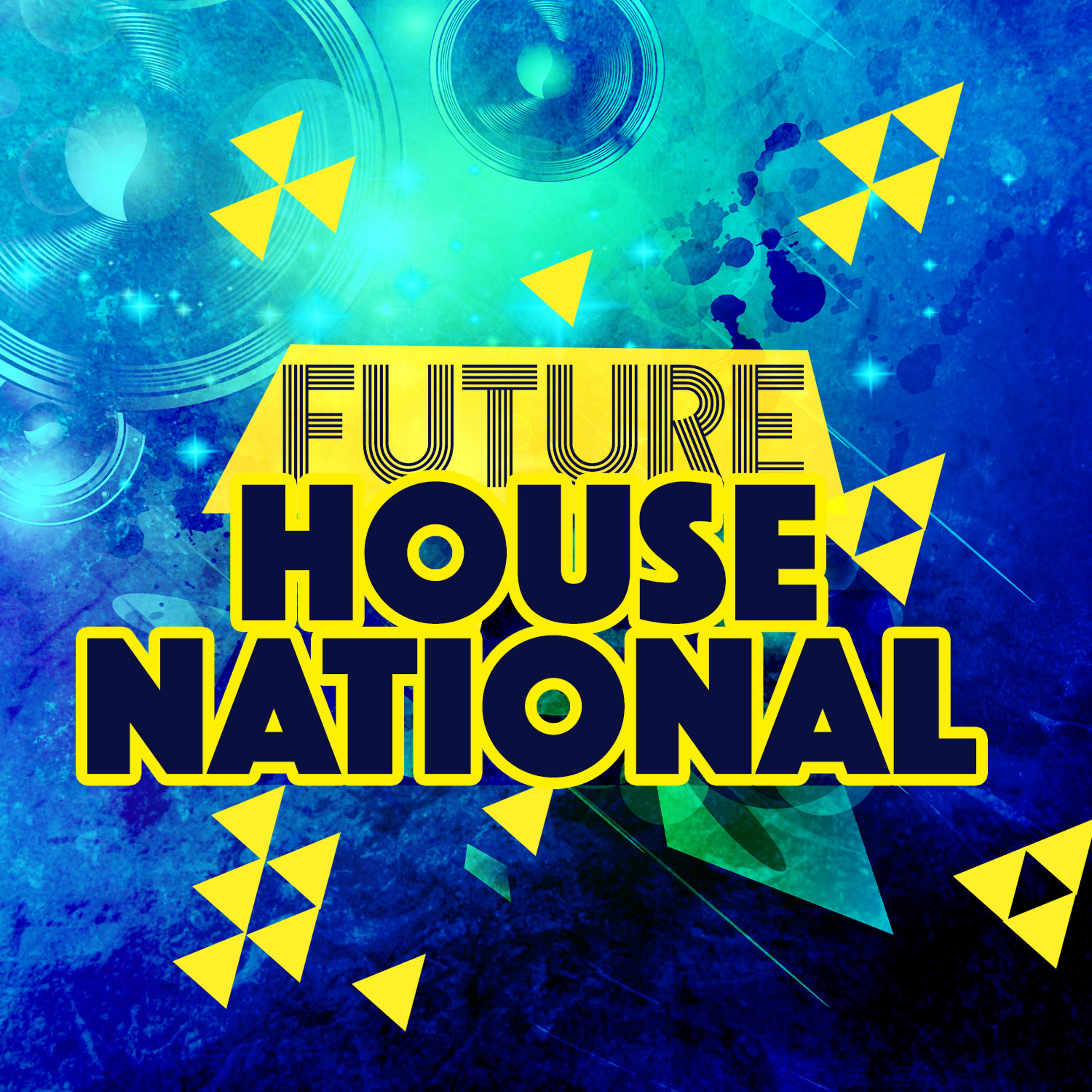 Постер альбома Future House National