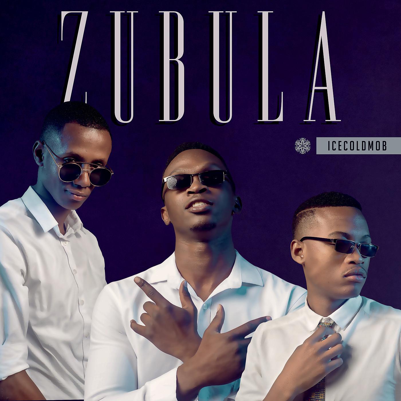 Постер альбома Zubula