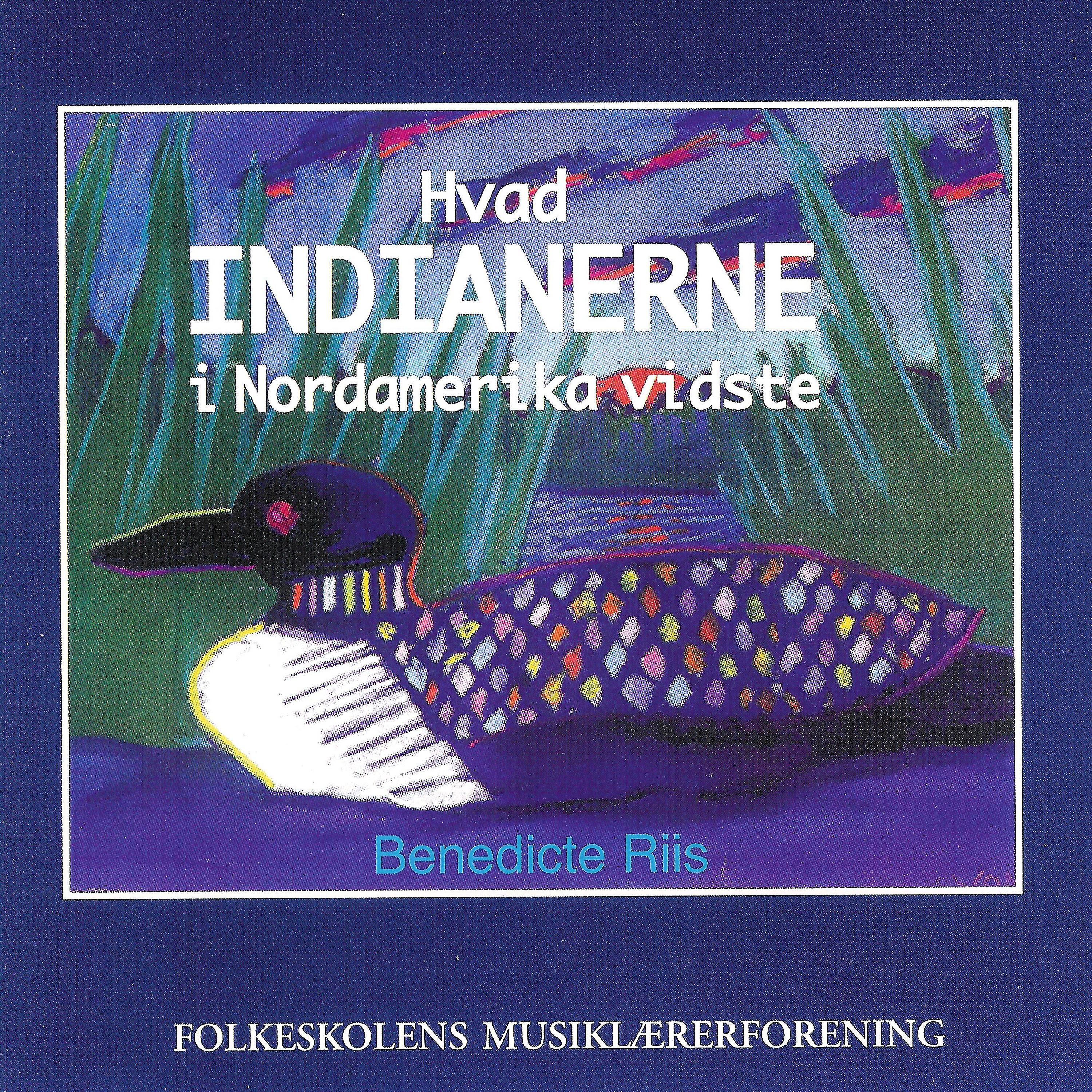 Постер альбома Hvad Indianerne I Nordamerika Vidste