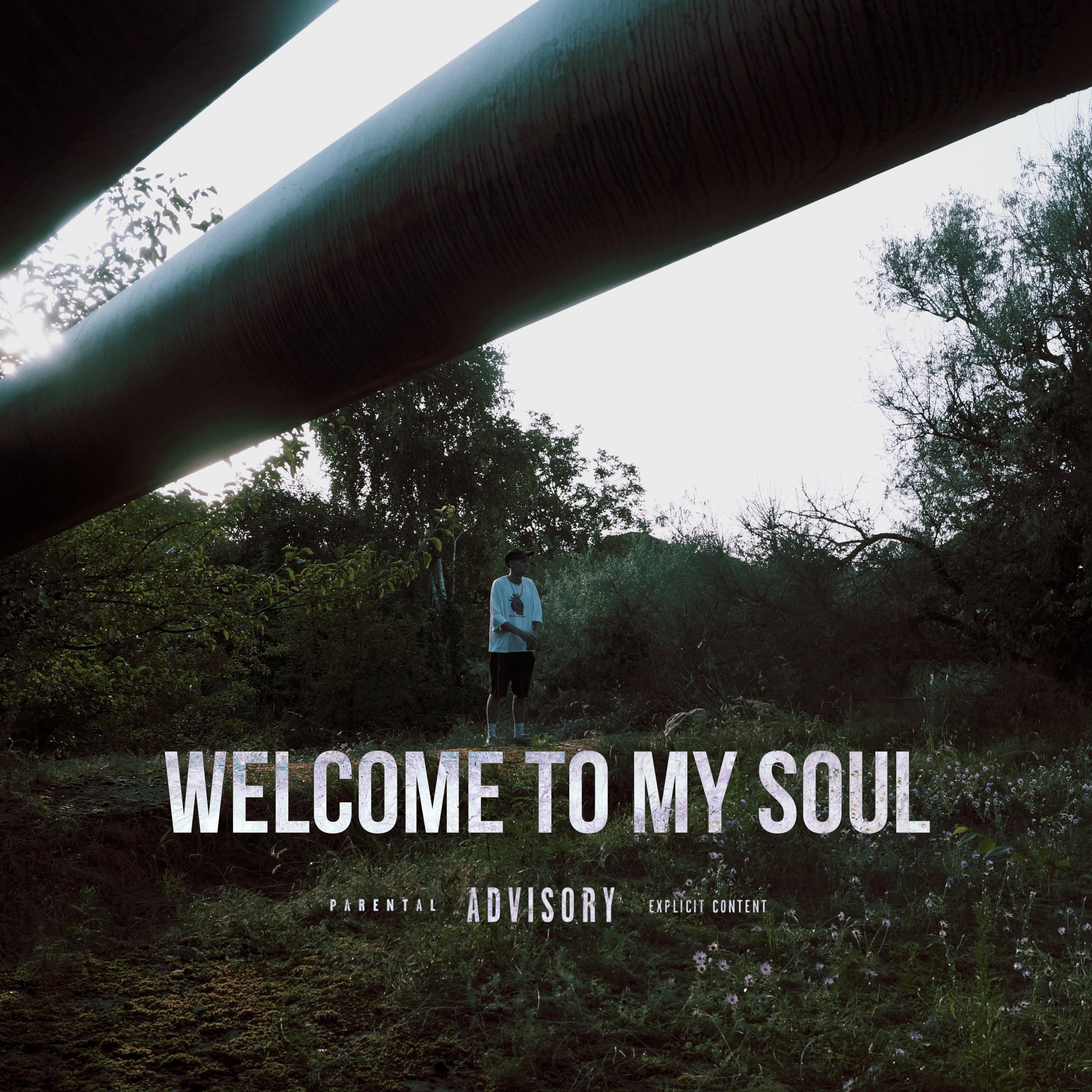 Постер альбома Welcome to My Soul