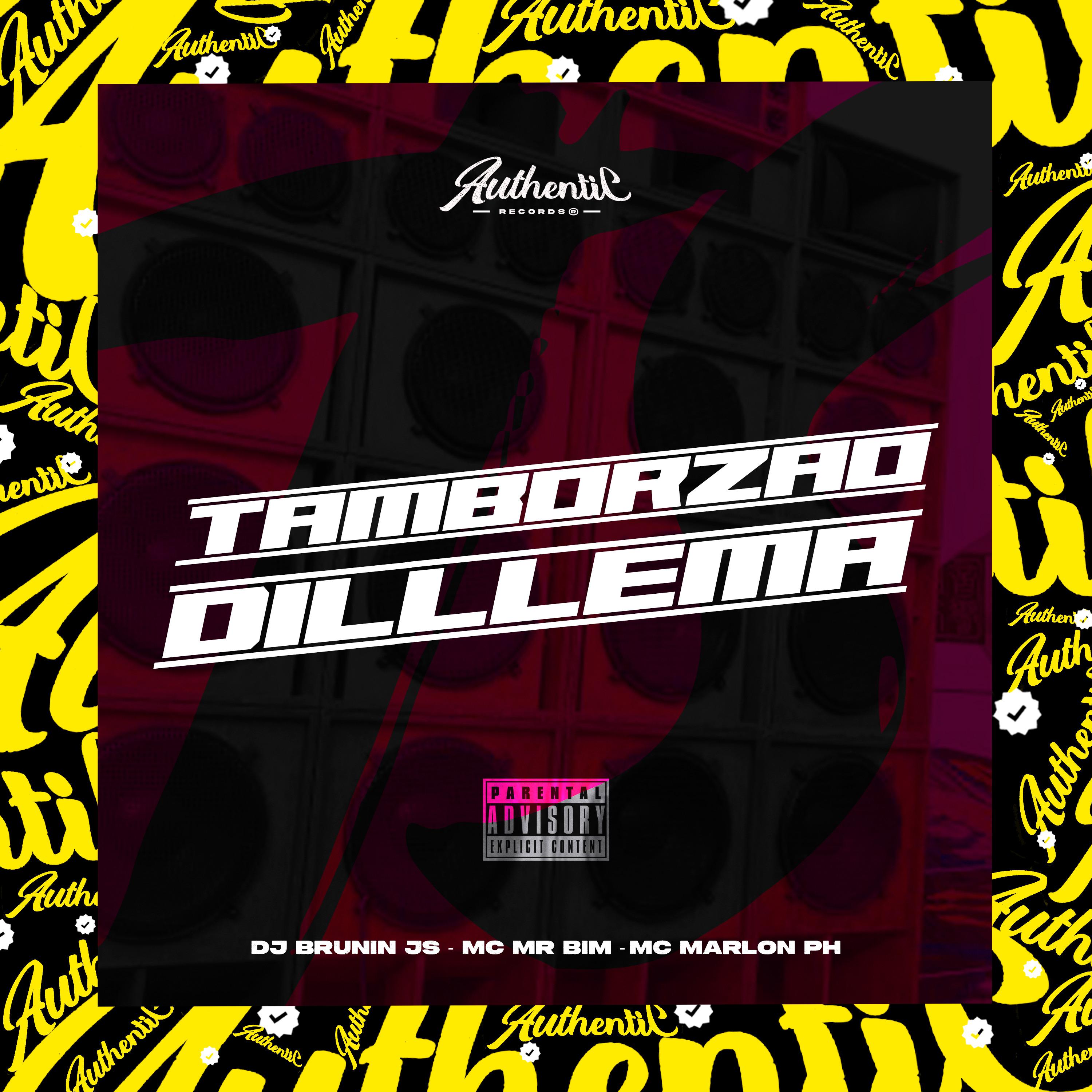 Постер альбома Tamborzão Dilllema
