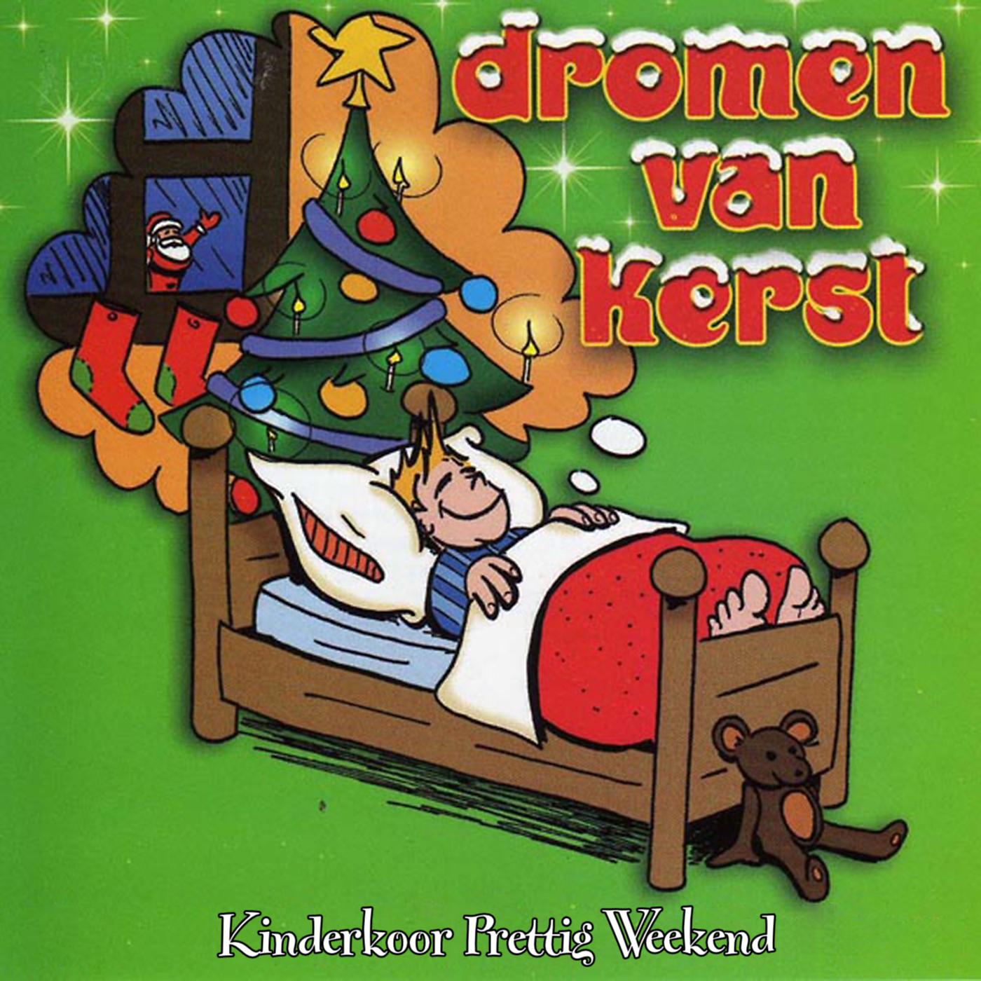Постер альбома Dromen Van Kerst