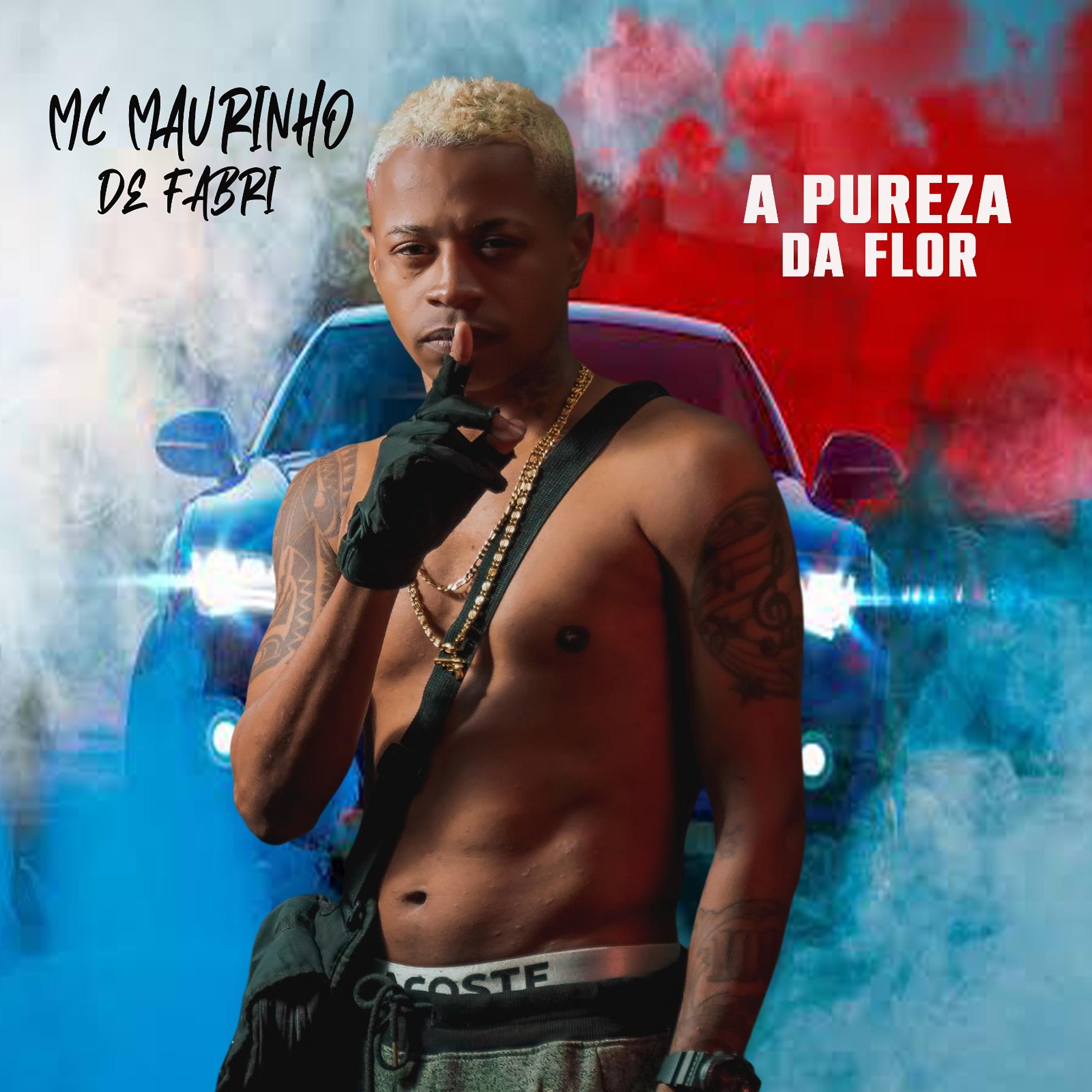 Постер альбома Pureza da Flor