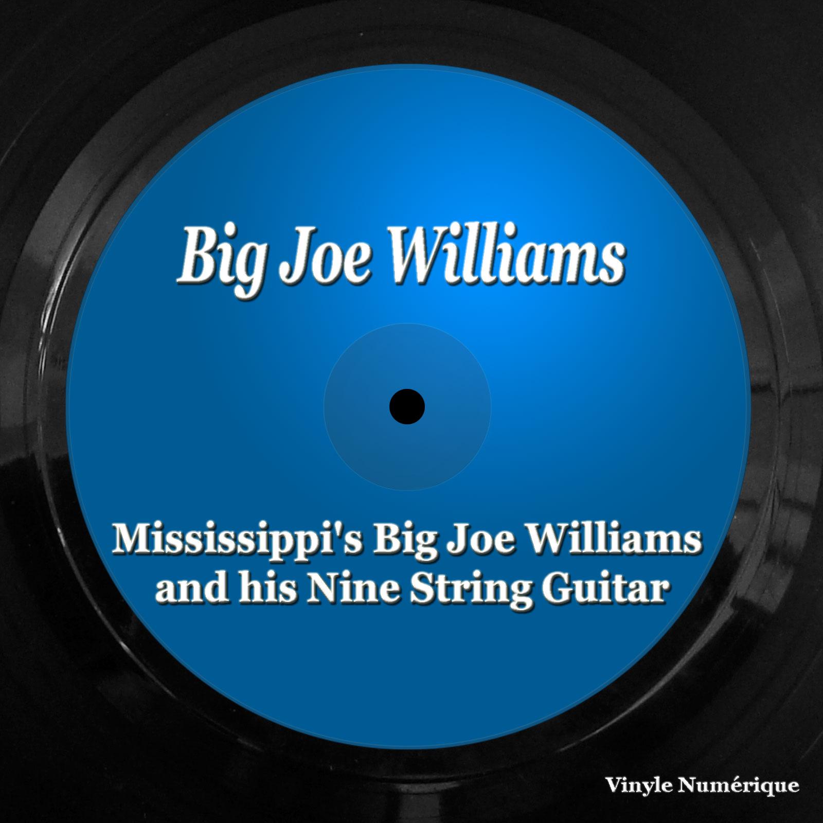 Постер альбома Mississippi's Big Joe Williams and his Nine String Guitar