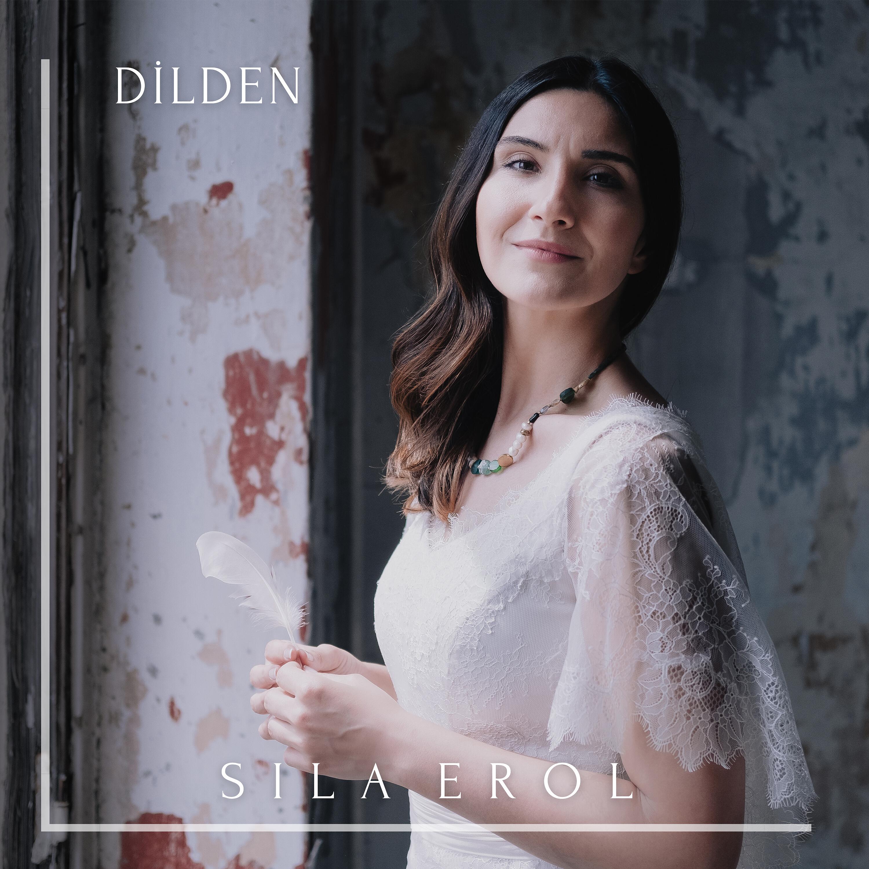 Постер альбома Dilden