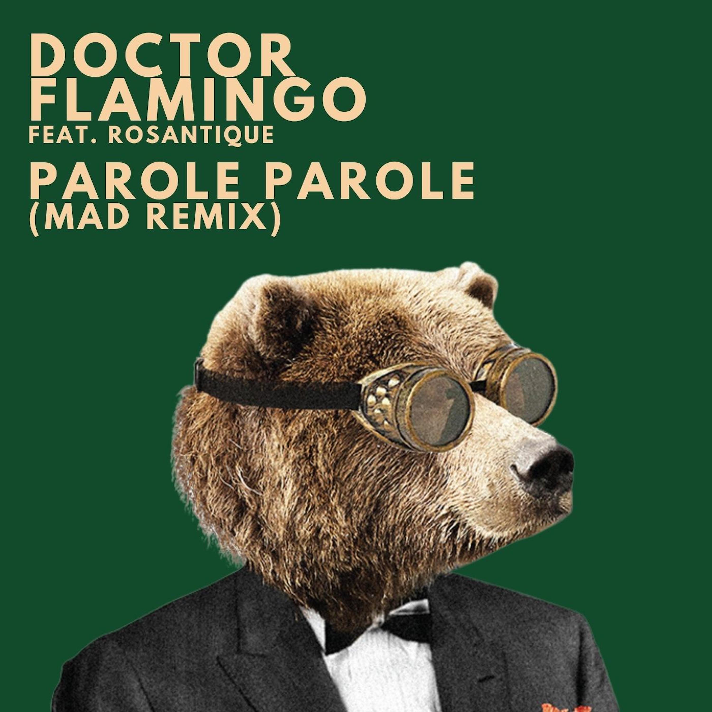 Постер альбома Parole Parole (Mad Remix)